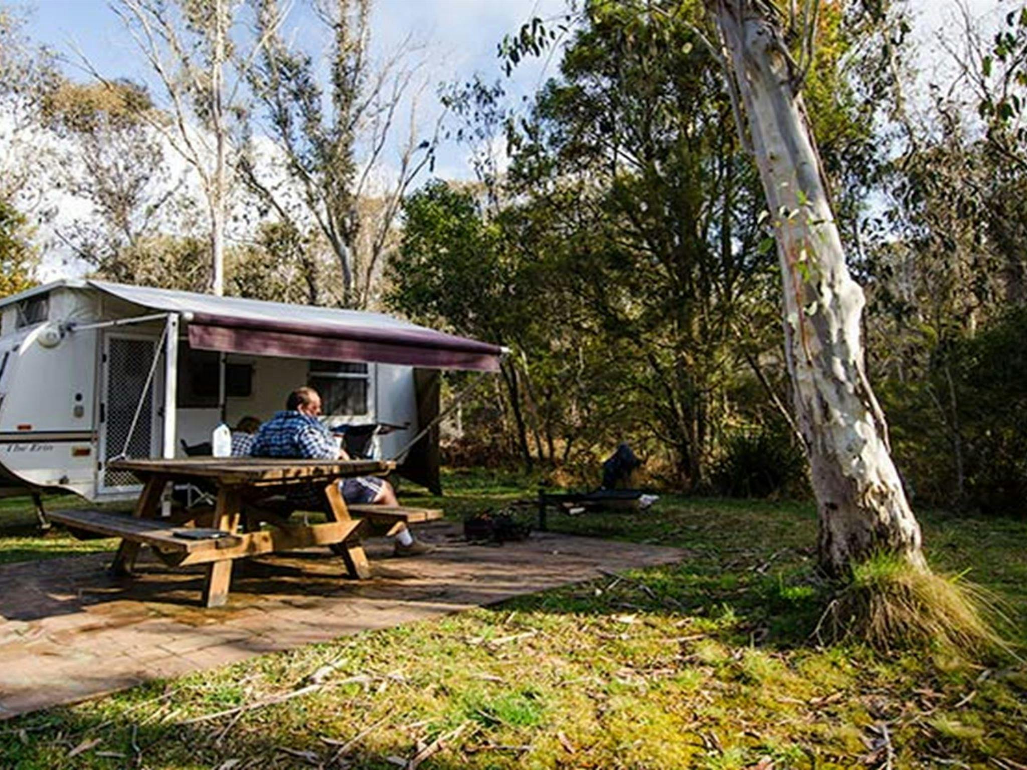 Mooraback campground, Werrikimbe National Park. Photo: John Spencer/NSW Government