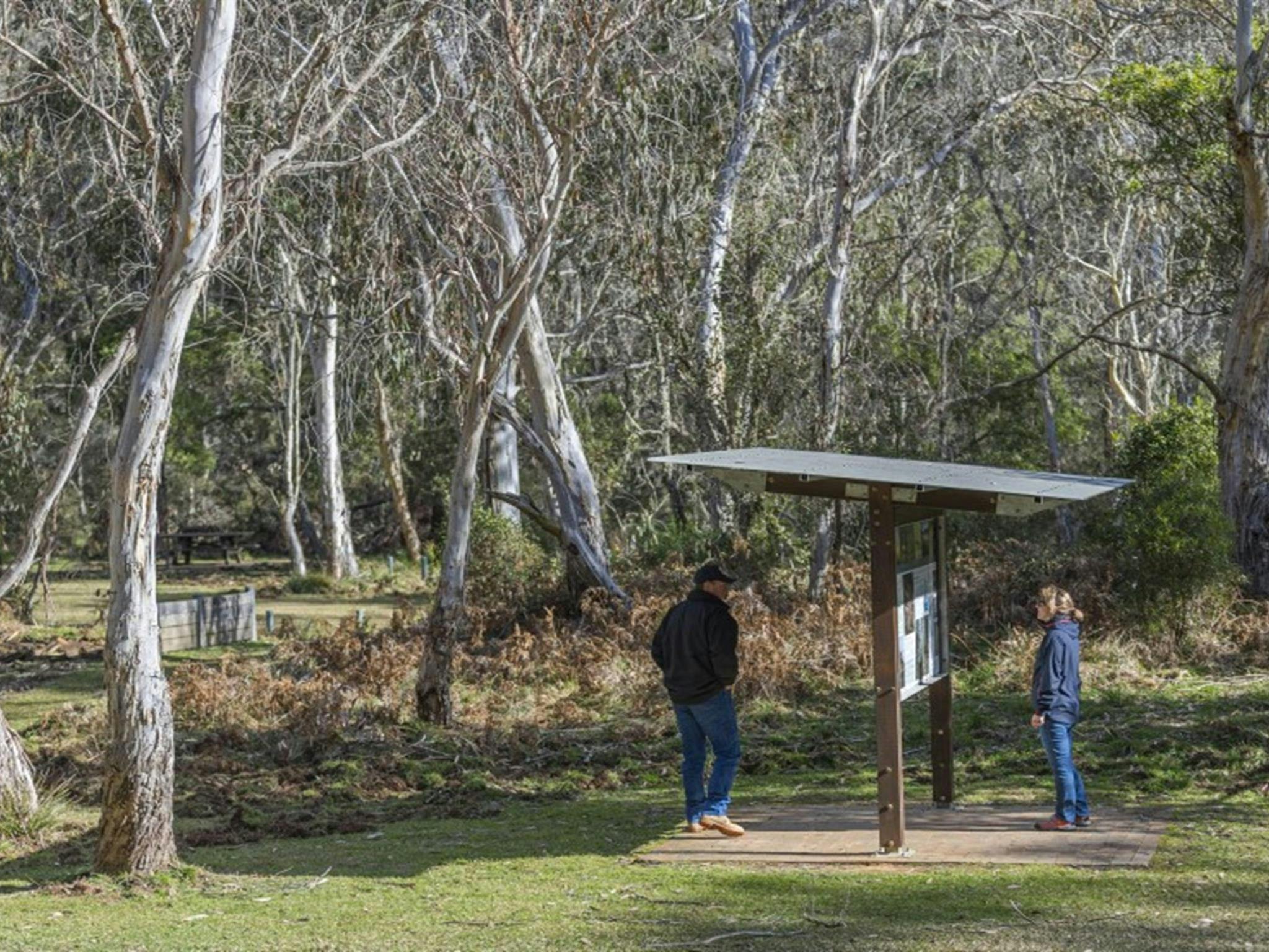 2 people reading the interpretive signage at Mooraback campground, Werrikimbe National Park. Photo: