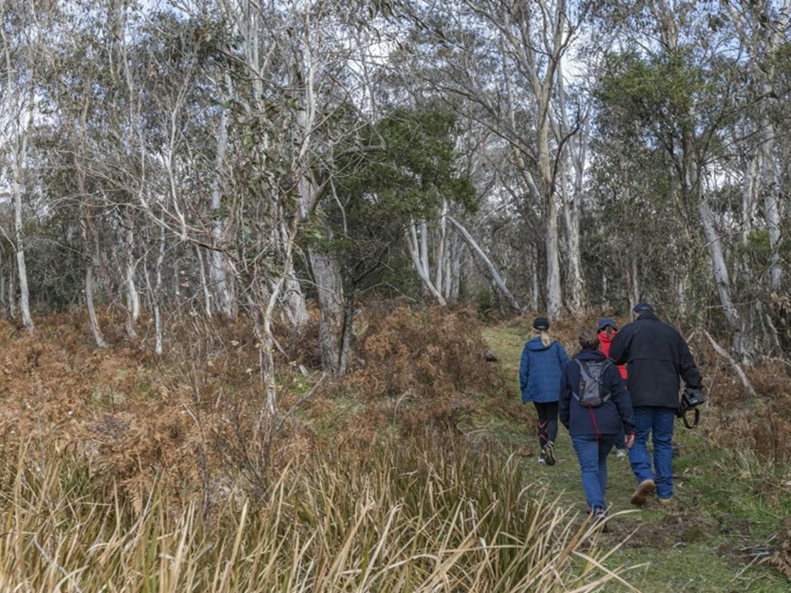 A group of friends walking along Platypus Pool walking track in Werrikimbe National Park. Photo: