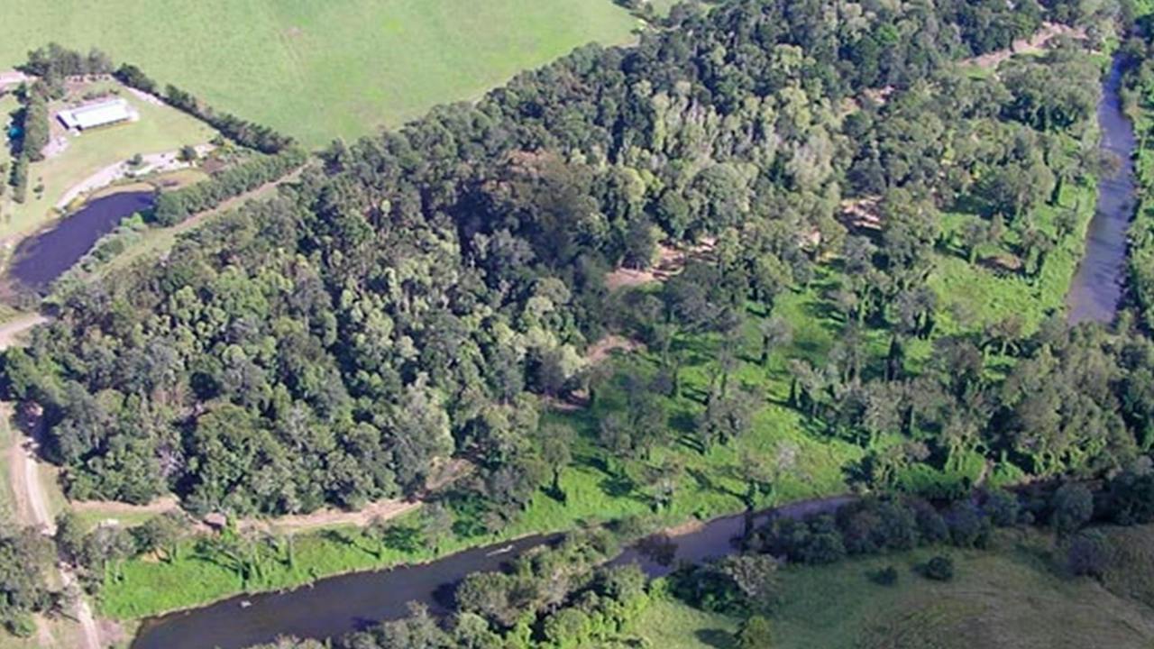 Moore Park Nature Reserve
