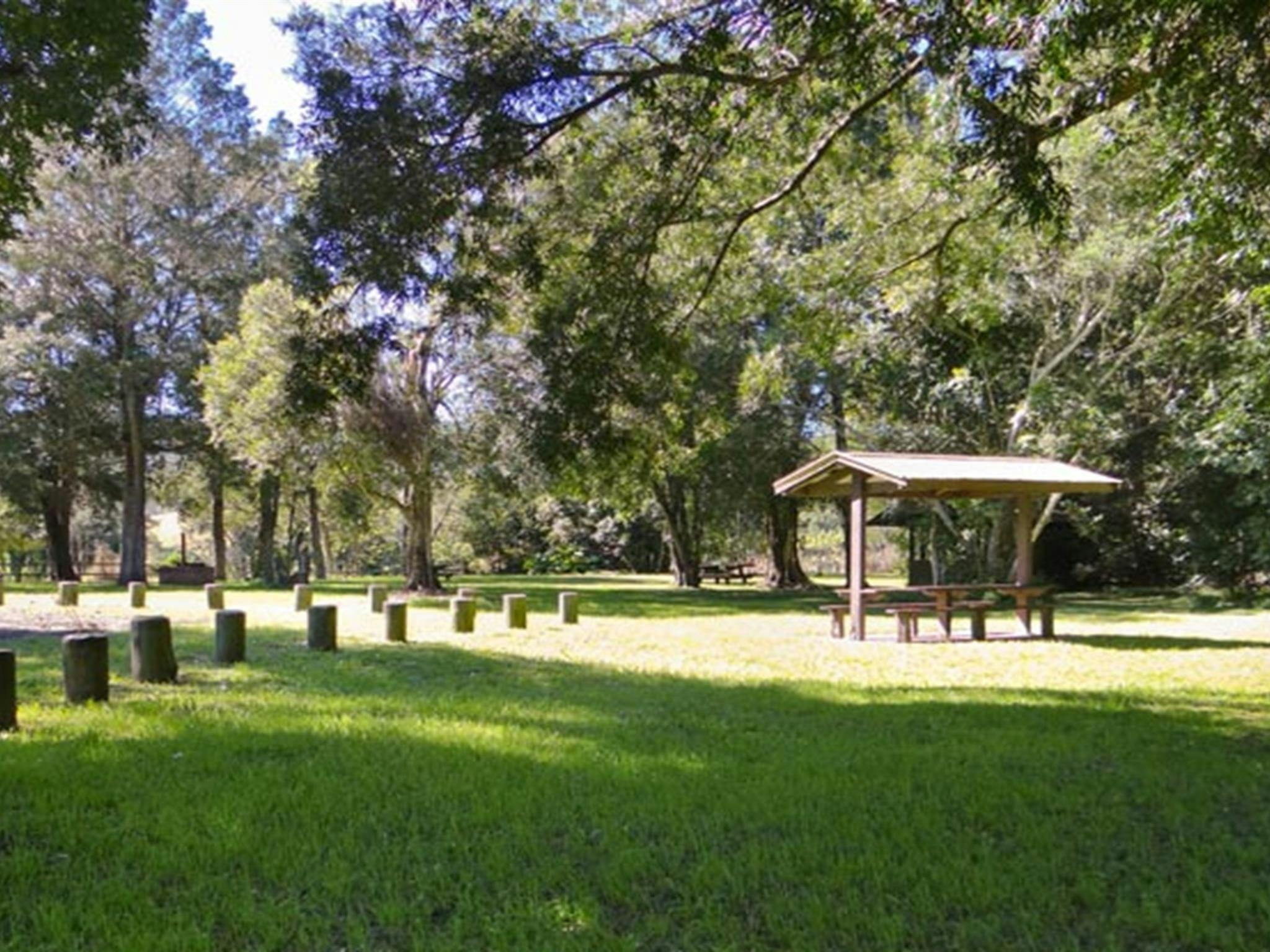 Moore Park picnic area, Moore Park Nature Reserve. Photo: OEH