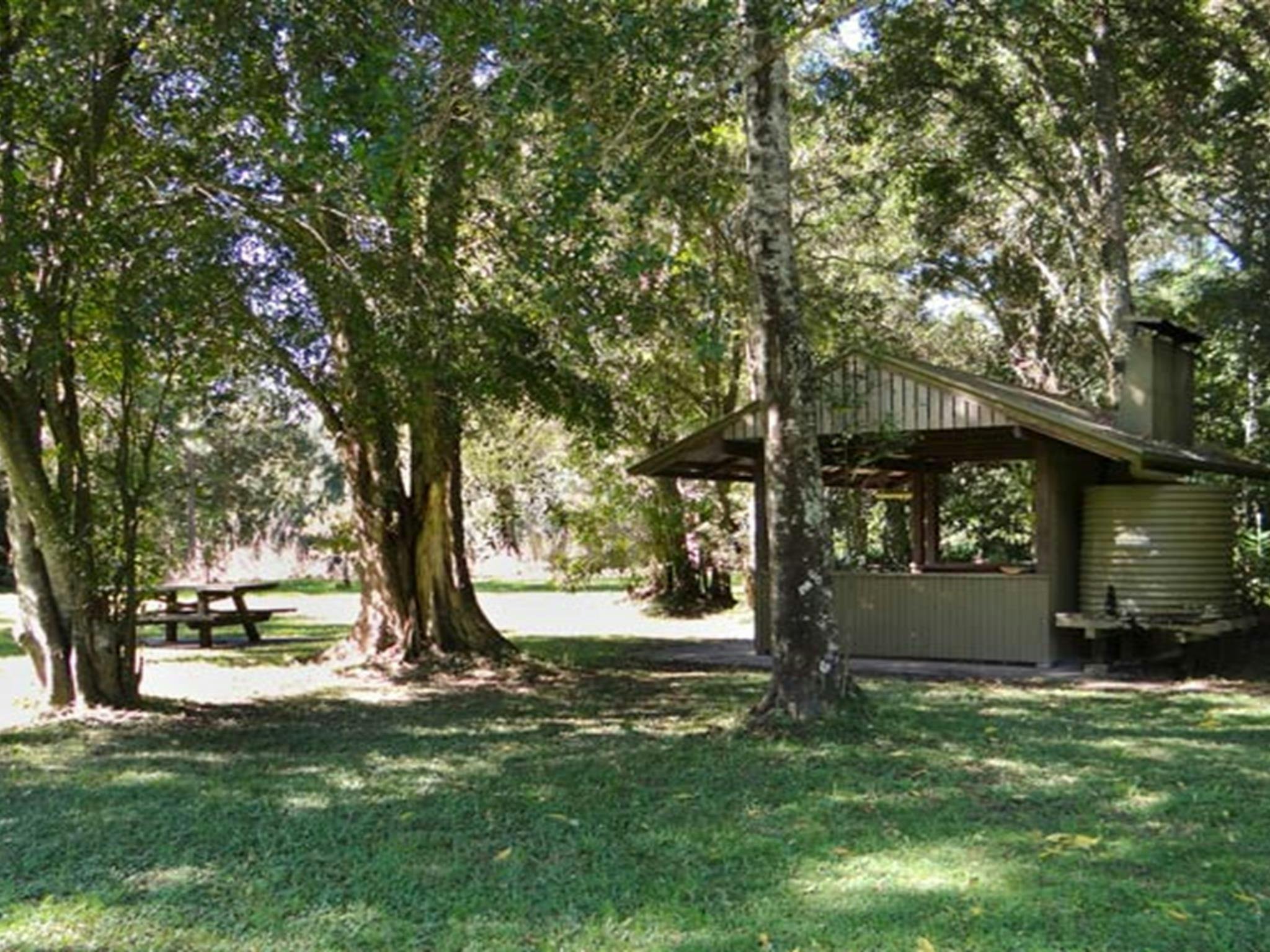 Moore Park picnic area, Moore Park Nature Reserve. Photo: OEH