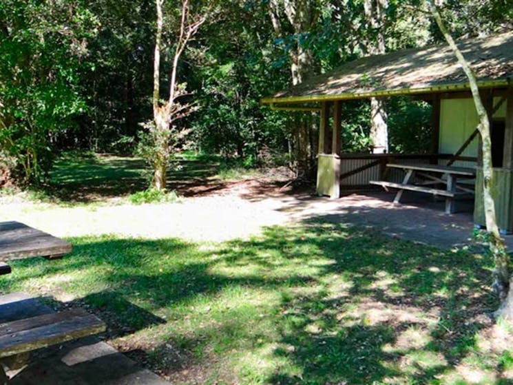 Moore Park picnic area, Moore Park Nature Reserve. Photo: OEH