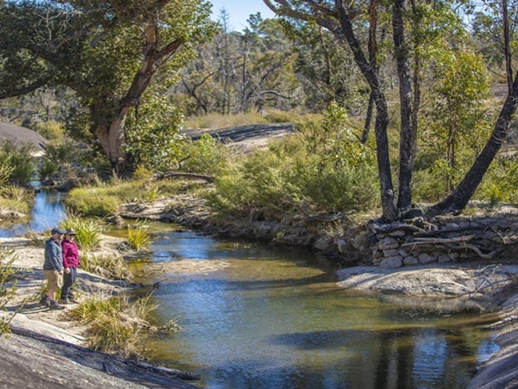 Visitors looking out over the waterway, running through the rugged bushland at Morgans Gully picnic