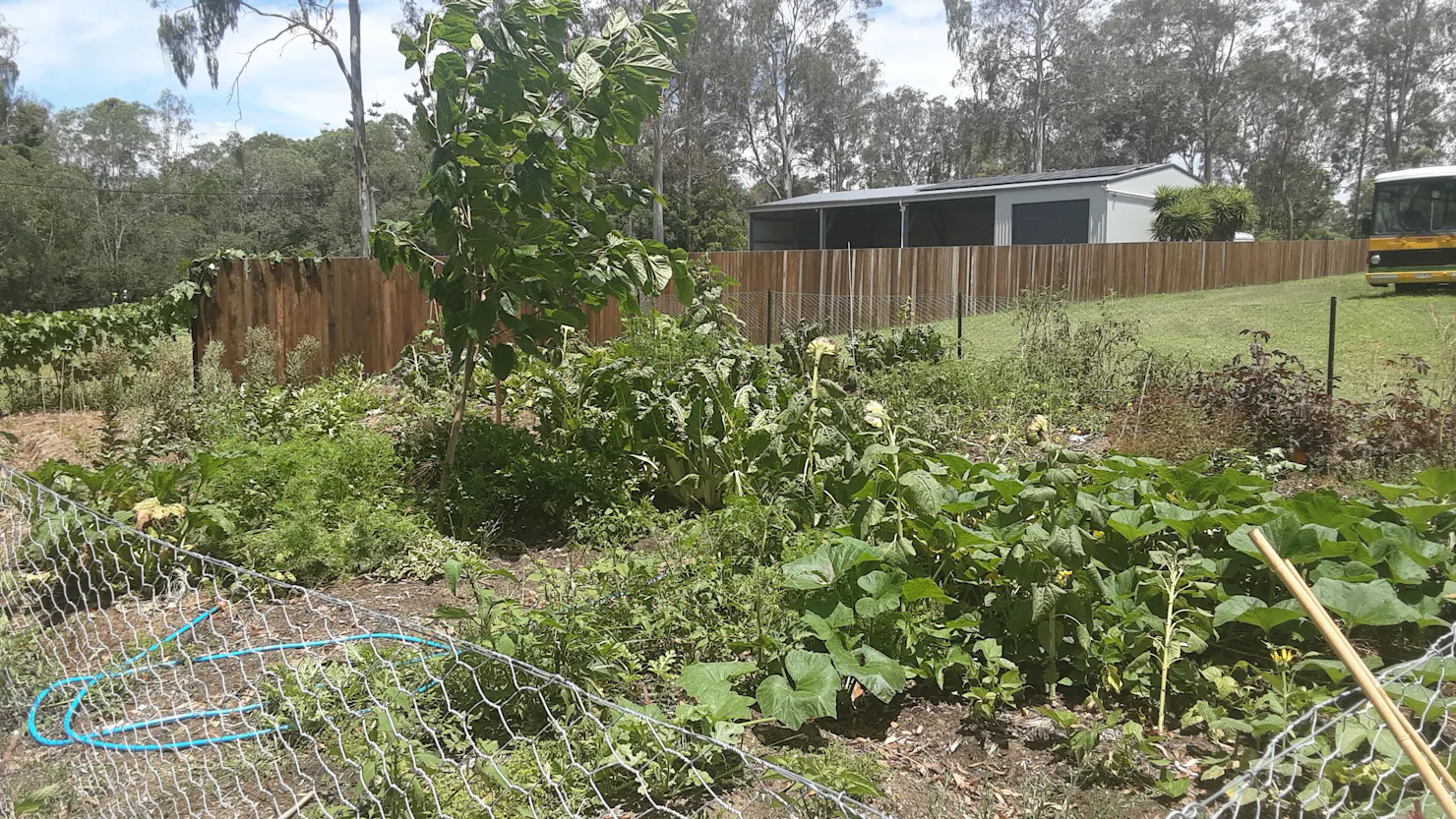 Mothar Mountain Camp