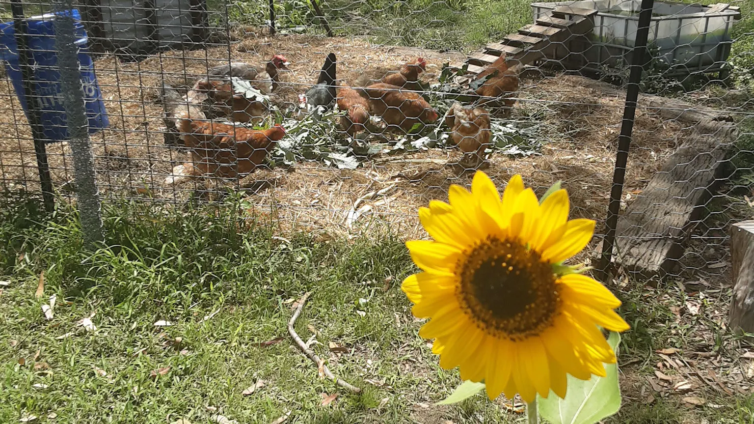 Mothar Mountain Camp