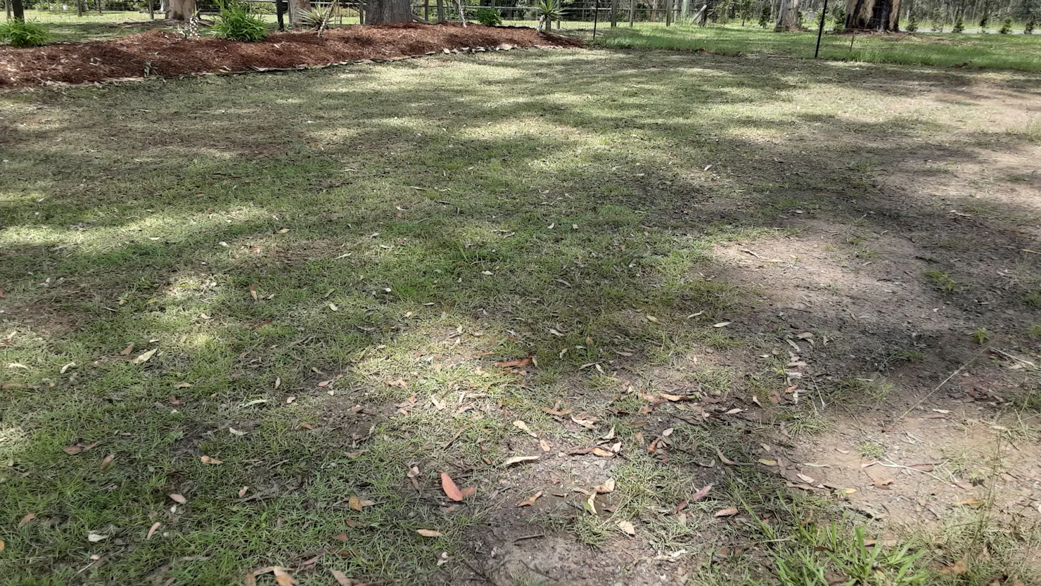 This is your camp site