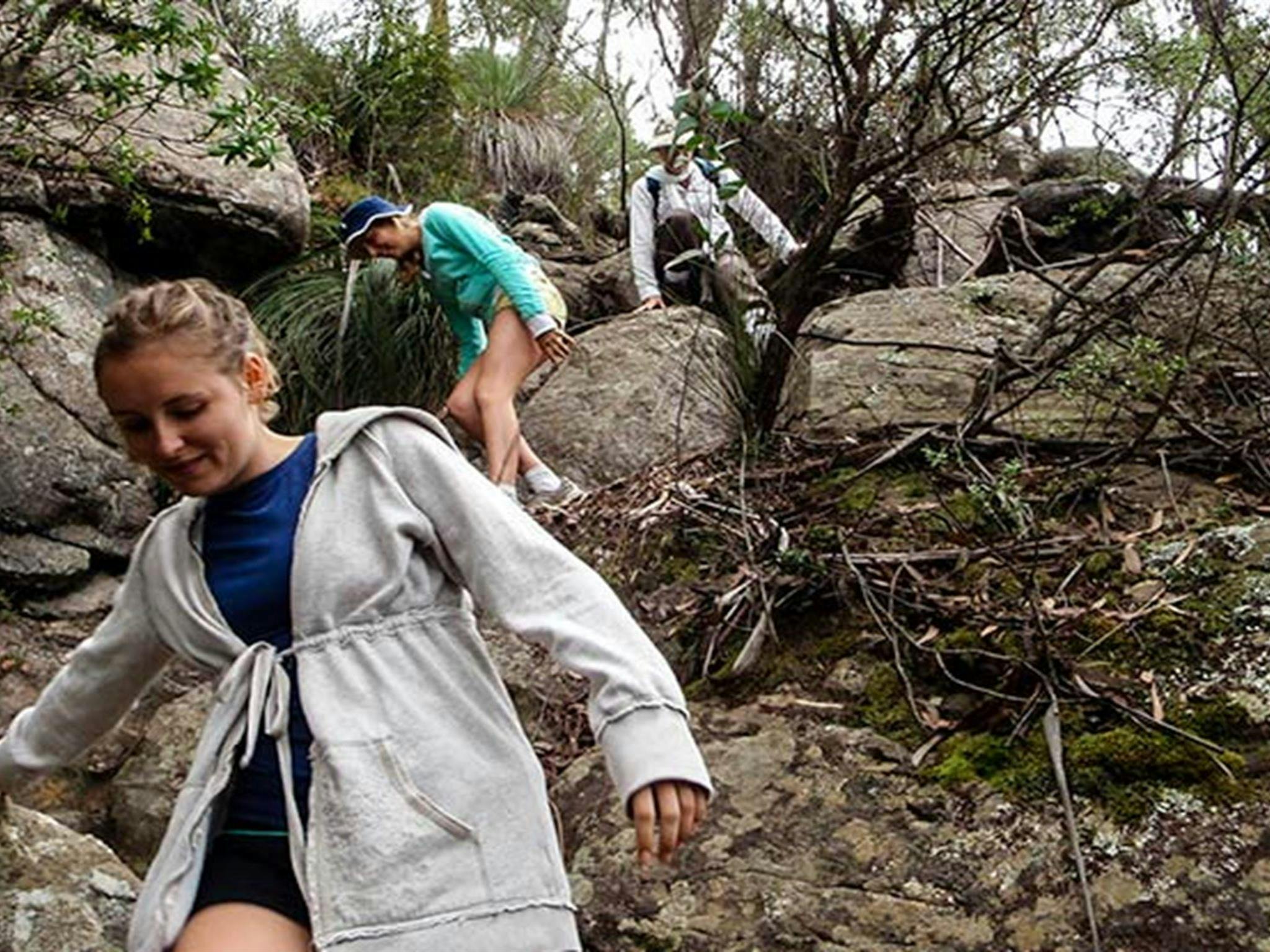 Mount Imlay National Park. Photo: NSW Government