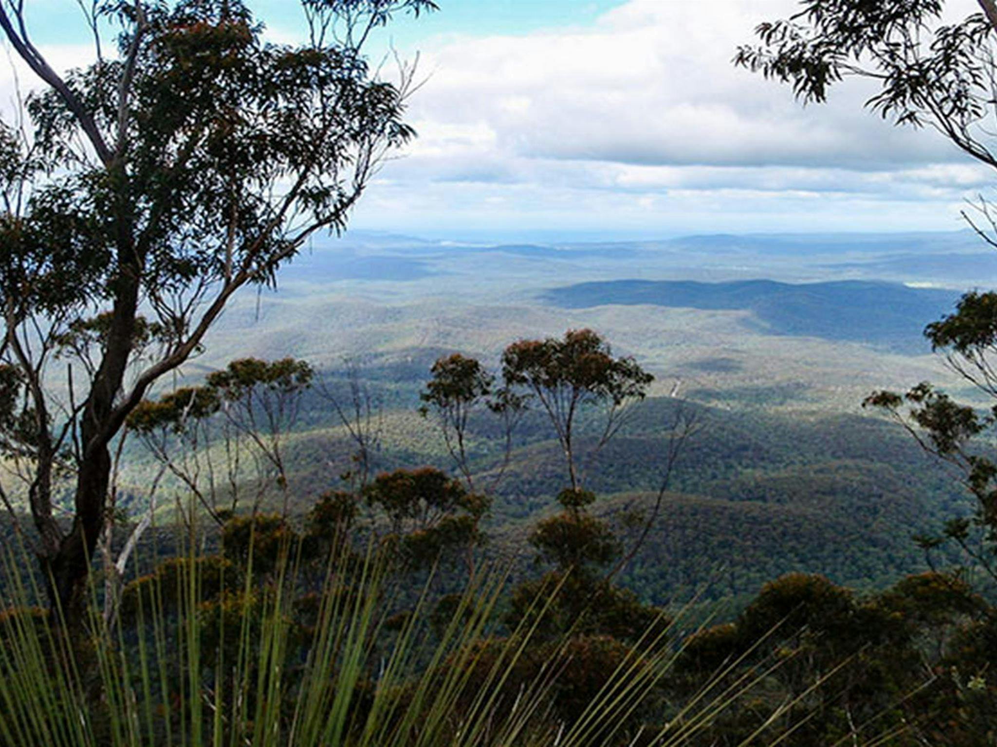Mount Imlay National Park. Photo: NSW Government