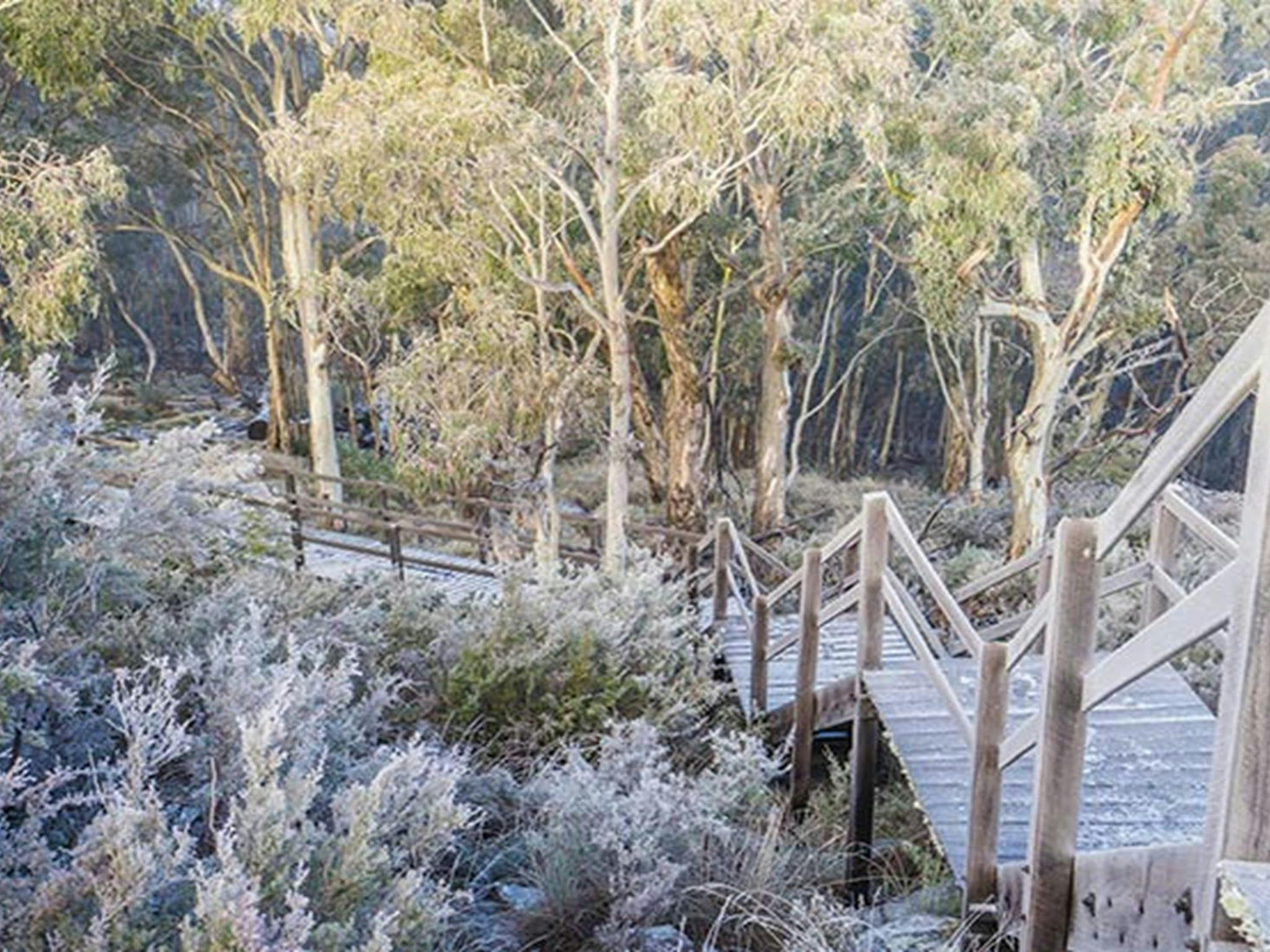 Timber walkway leading to Mount Kaputar Summit lookout. Photo: Simone Cottrell/OEH