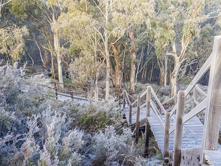 Timber walkway leading to Mount Kaputar Summit lookout. Photo: Simone Cottrell/OEH