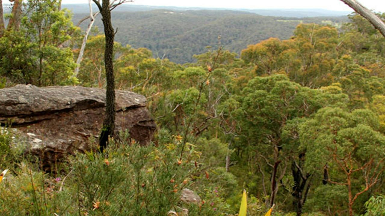 Mount Olive lookout