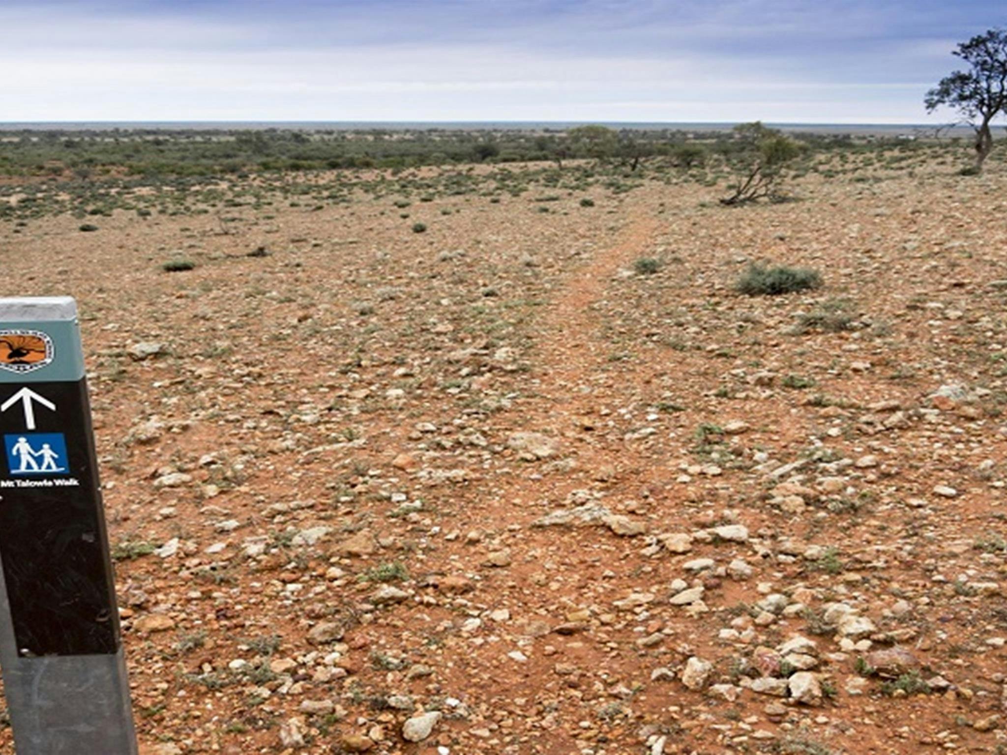 Mount Talowla walking track park sign and outback landscape, Toorale State Conservation Area. Photo:
