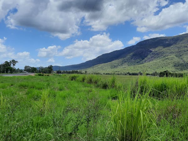 Mount View Lake Holiday Park.