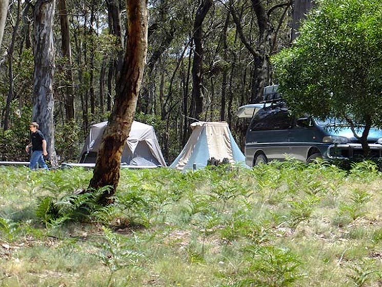 Mount Werong campground, Blue Moutnains National Park. Photo: J Bros/OEH.