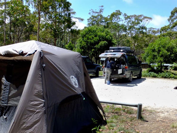 Mount Werong campground, Blue Mountains National Park. Photo: J Bros/ OEH.