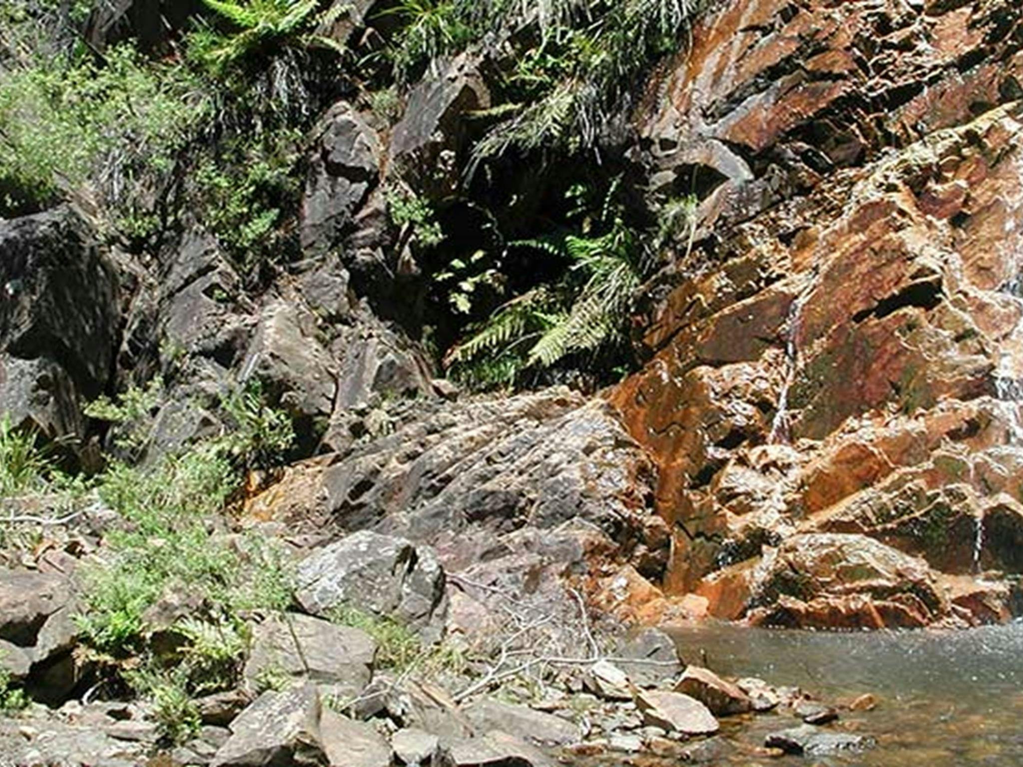 Ruby Creek Falls in der Nähe des Campingplatzes Mount Werong im Blue Mountains Nationalpark. Foto: Jules Bros/OEH