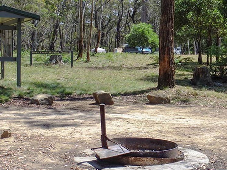 Fire ring at Mount Werong campground, Blue Mountains National Park. Photo: Jules Bros/OEH