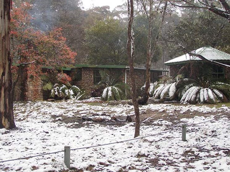 Snow at Mount Werong campground, Blue Mountains National Park. Photo: Jules Bros/OEH