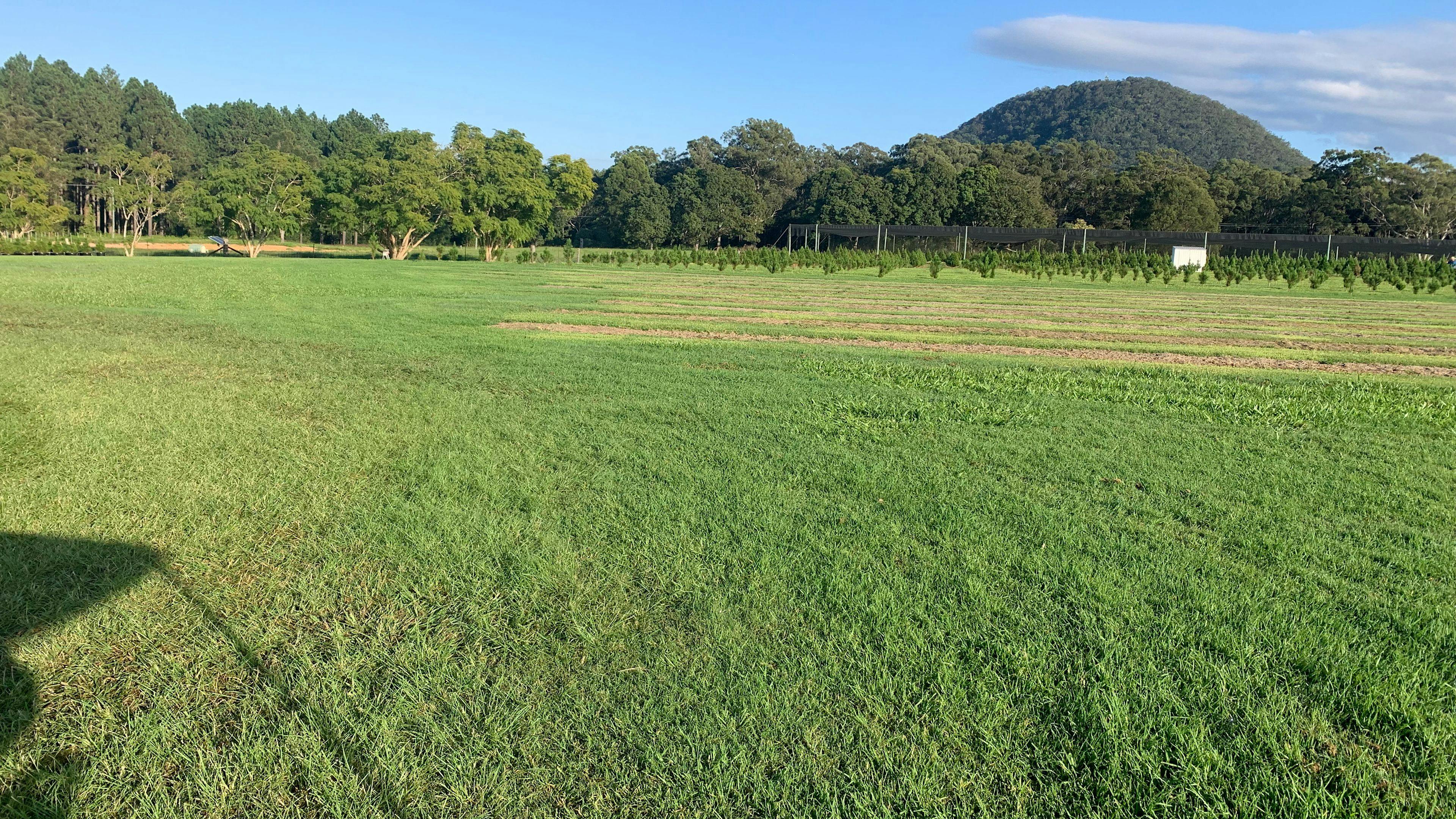 Mountain Country Farm Stay