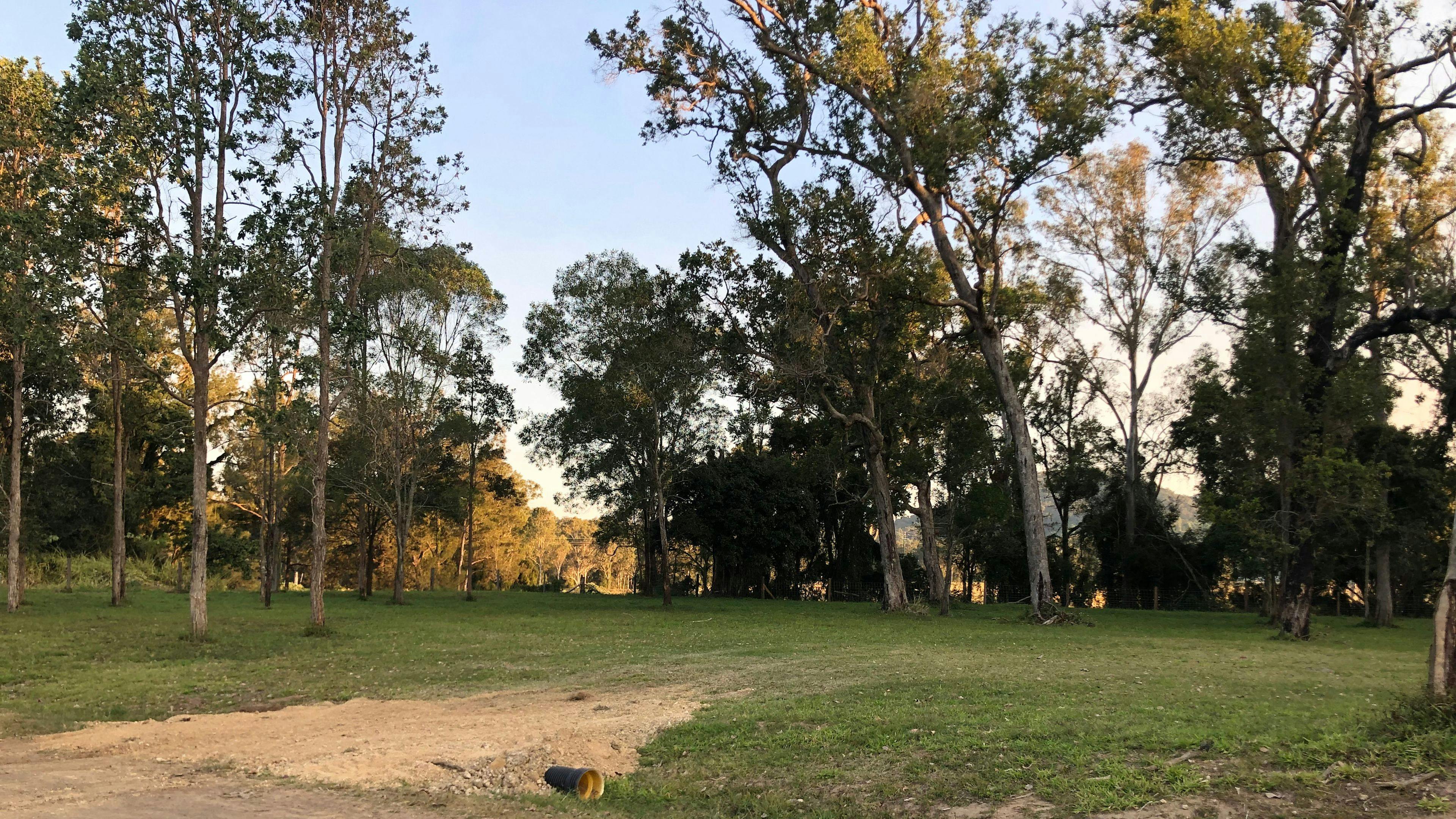 Mountain View Camping