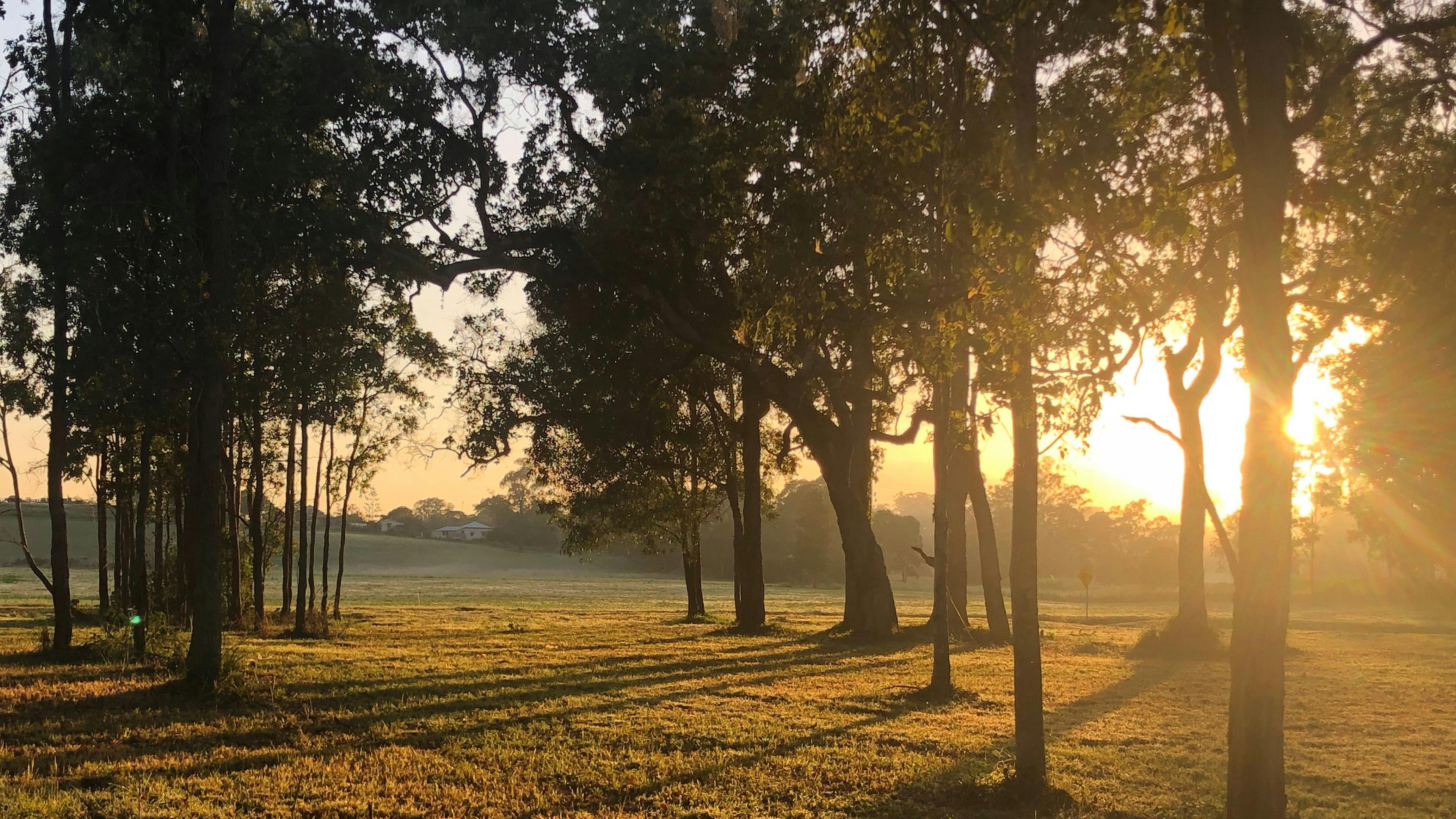 Mountain View Camping