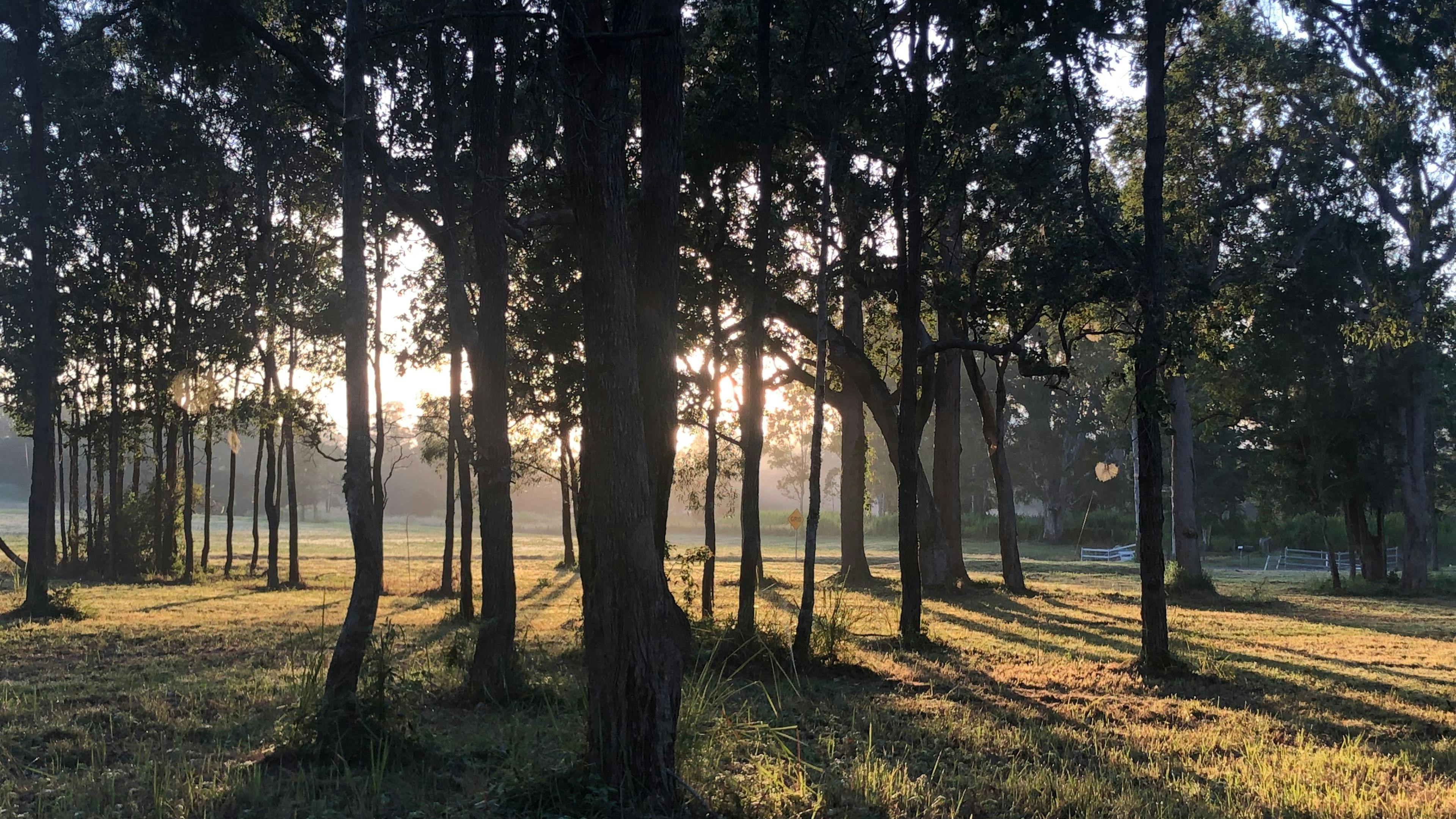 Mountain View Camping