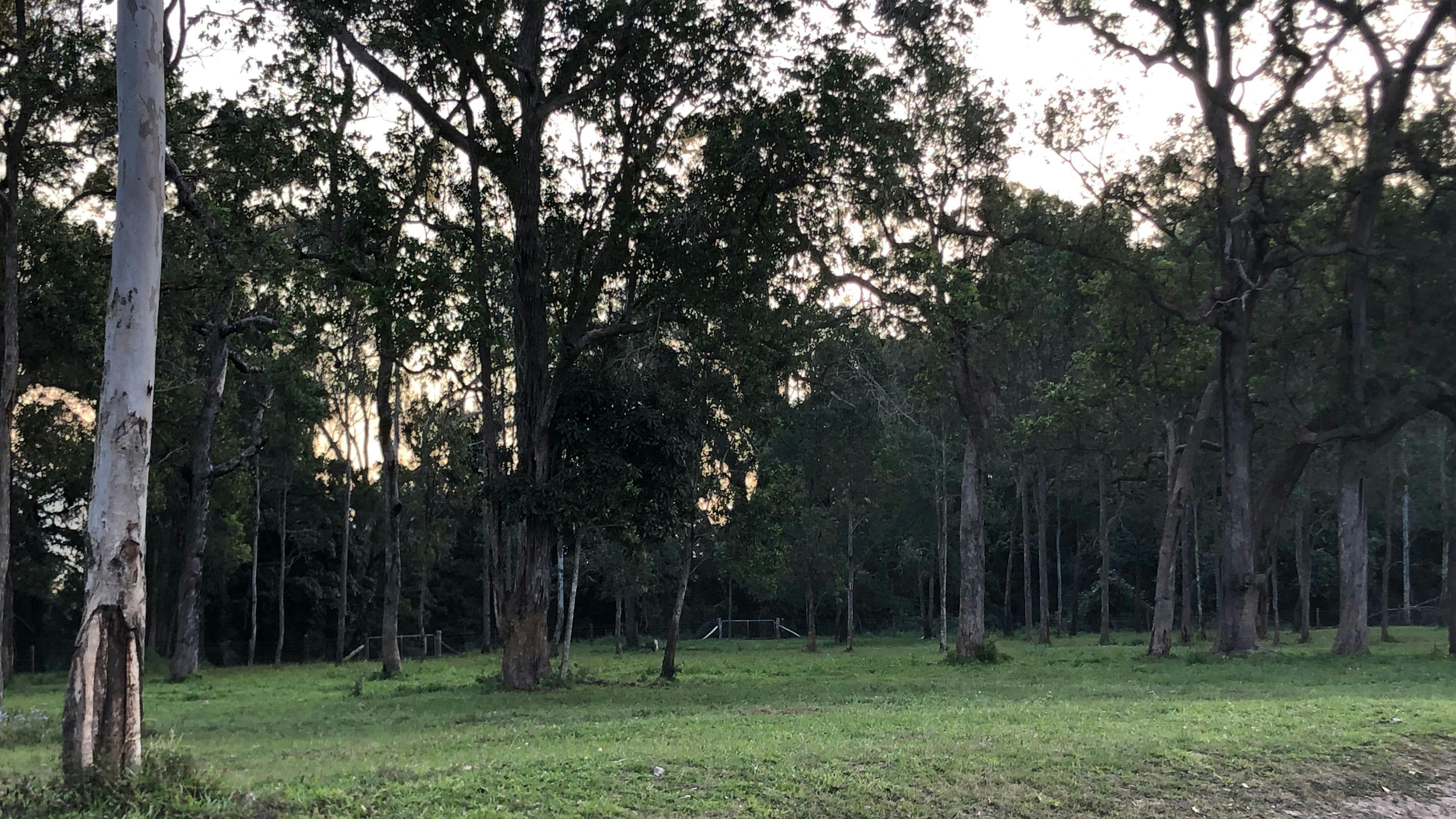 Mountain View Camping