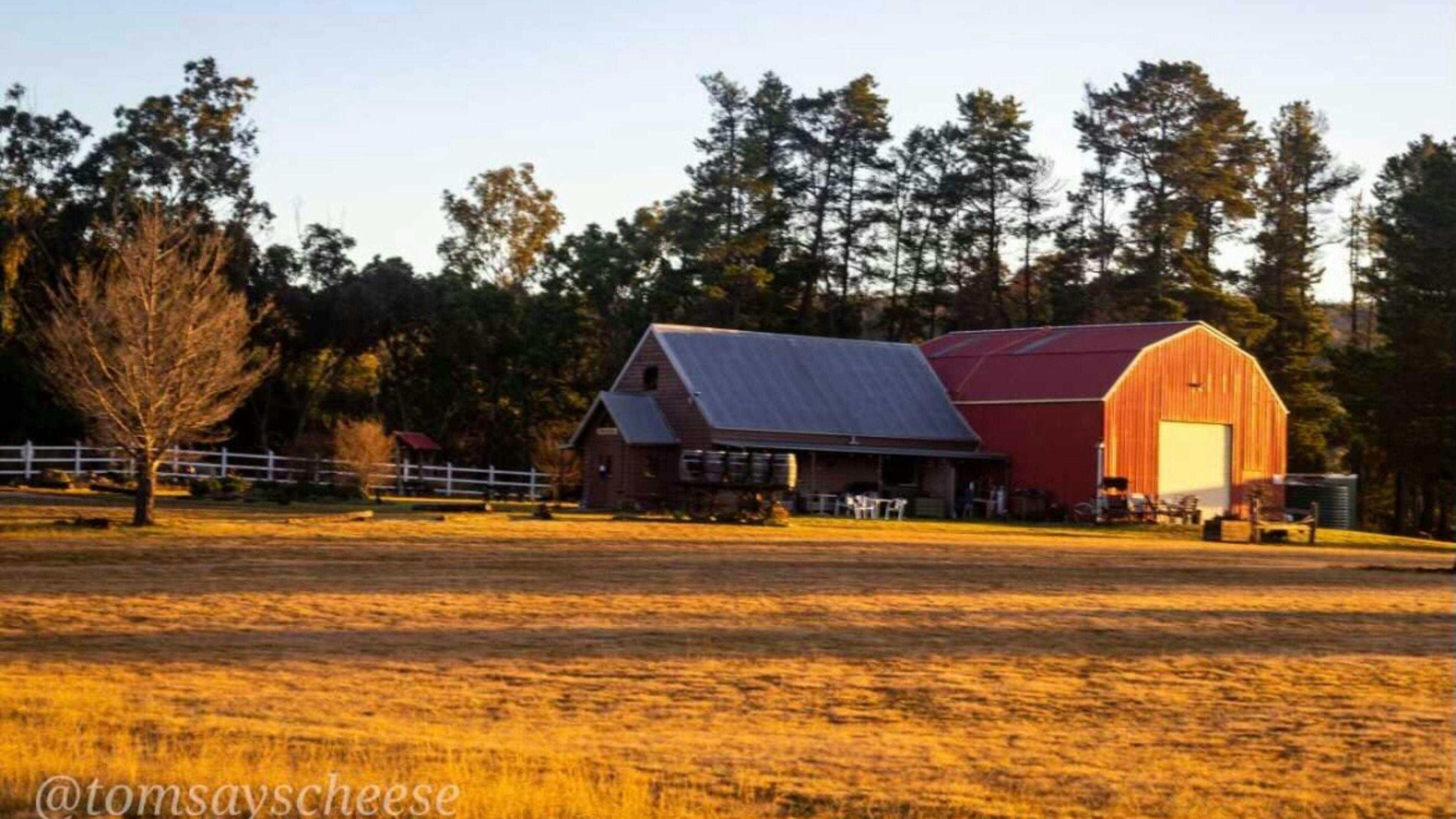 Mountview Wines Camping and Cabins