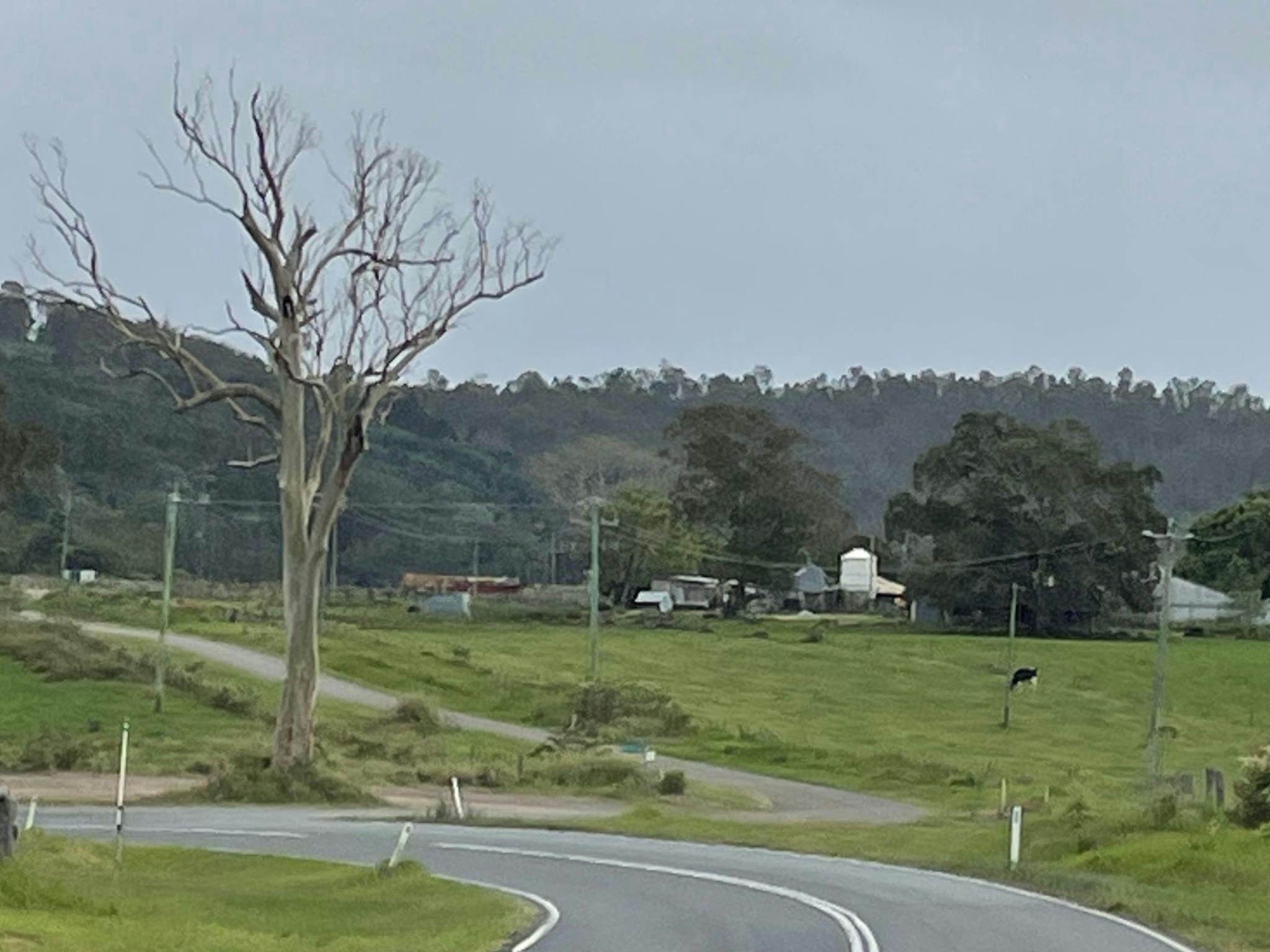 Moy Park Camping