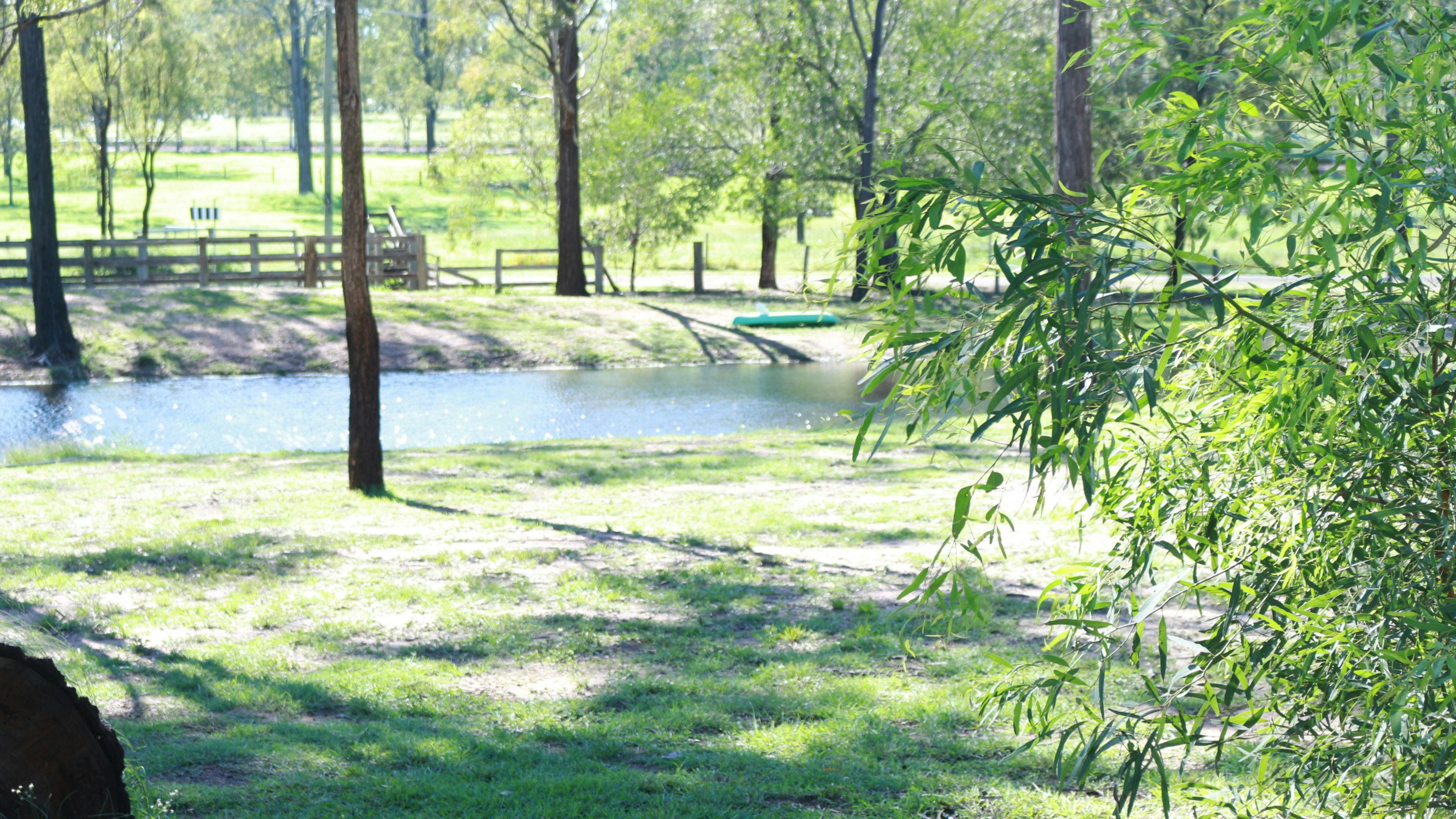 Moyle Manor camping or Glamping