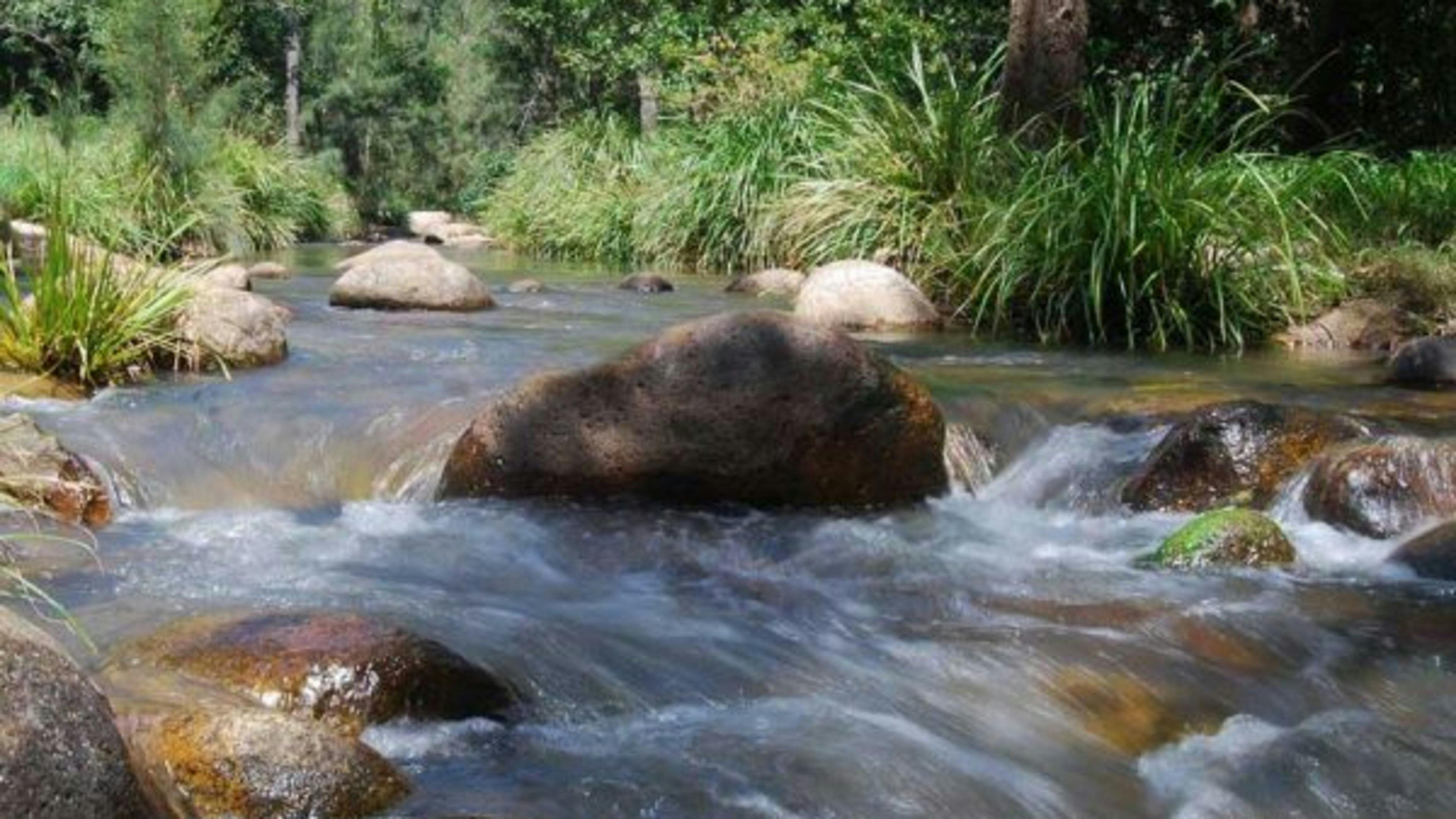 Mt Barney Lodge Eco Retreat