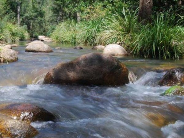 Mt Barney Lodge Eco Retreat
