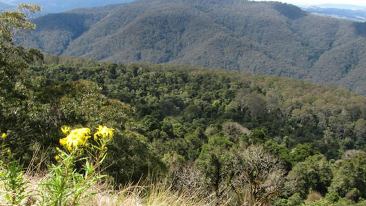 Mount Royal National Park