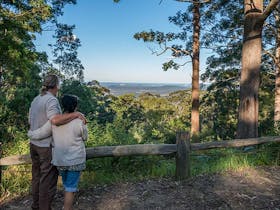 Muirs lookout