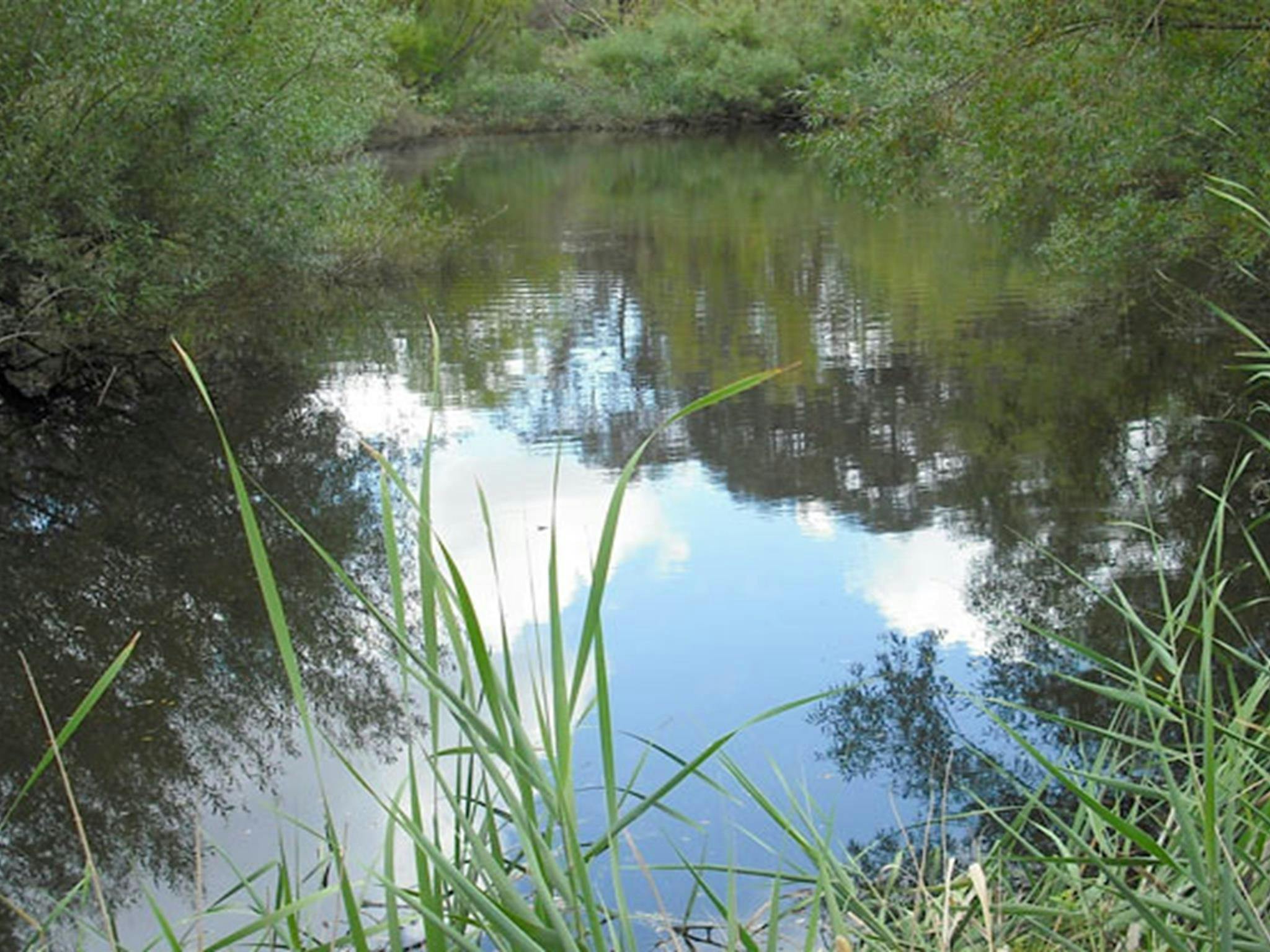Summer Hill creek, Mullion Range State Conservation Area. Photo: NSW Government