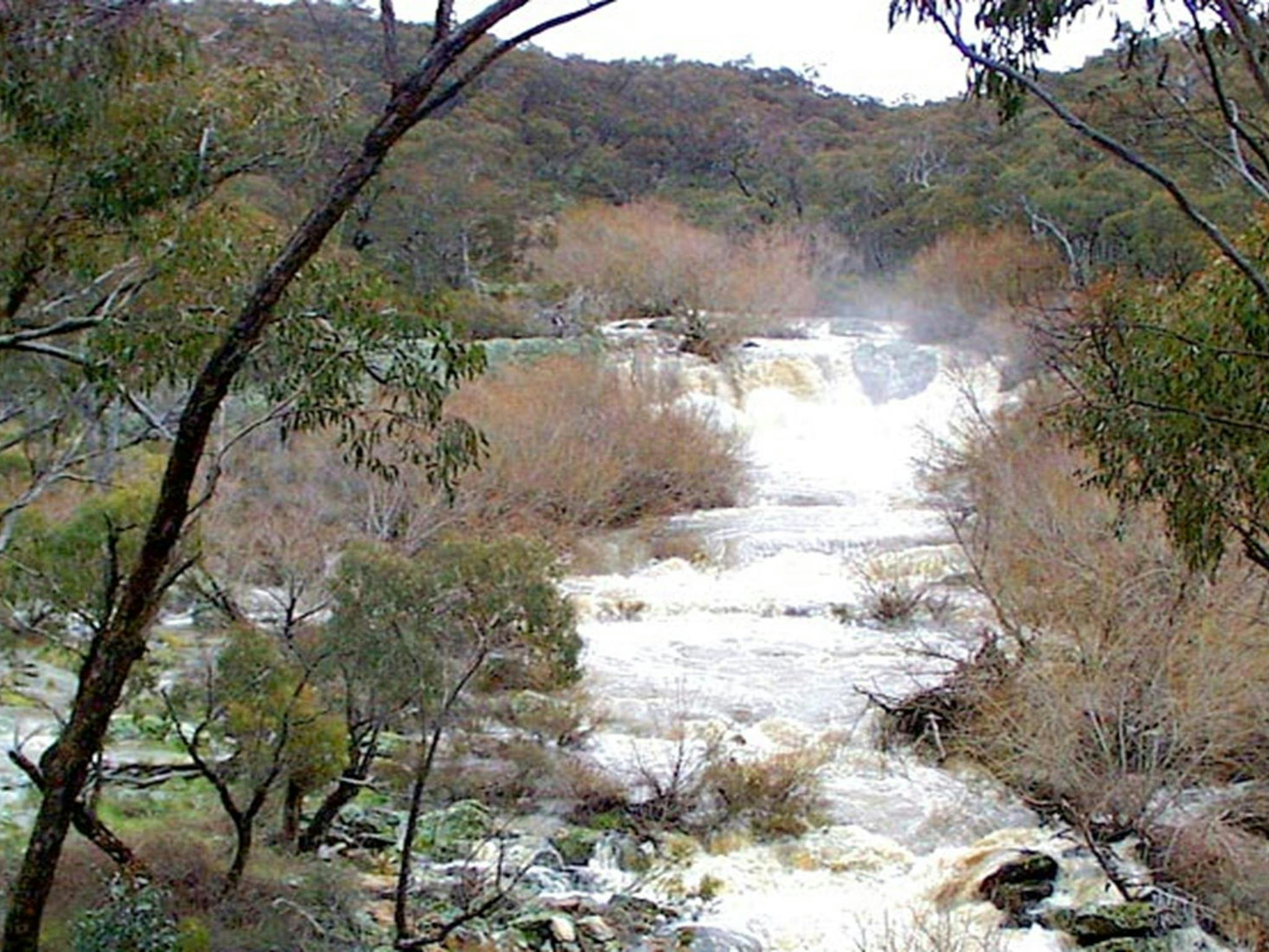 The Falls Water Falls, Mullion Range State Conservation Area. Photo: NSW Government