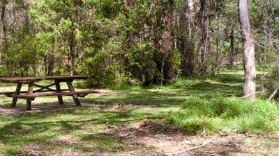 Mullon Creek campground, Tallaganda National Park. Photo: S Jackson/NSW Government