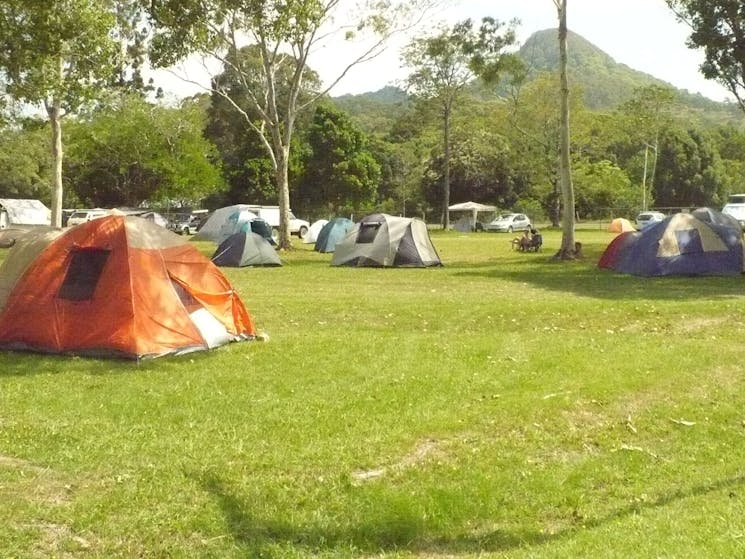 Campers in the unpowered section of the site