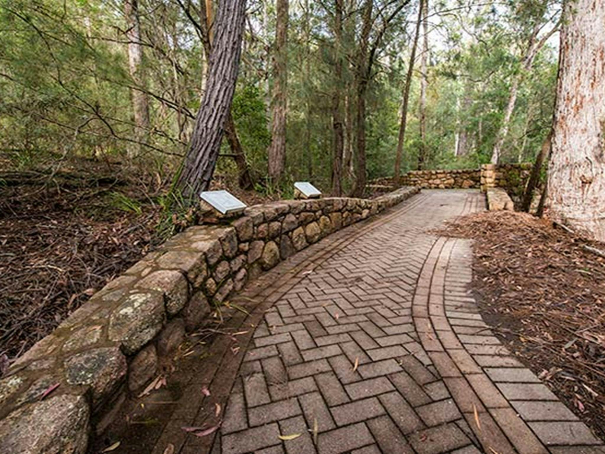 Biamanga Cultural area, Biamanga National Park. Photo: John Spencer/NSW Government