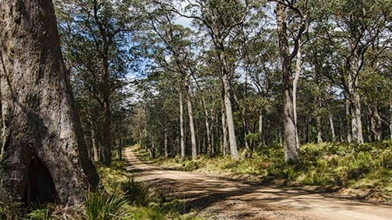Mummel Gulf National Park