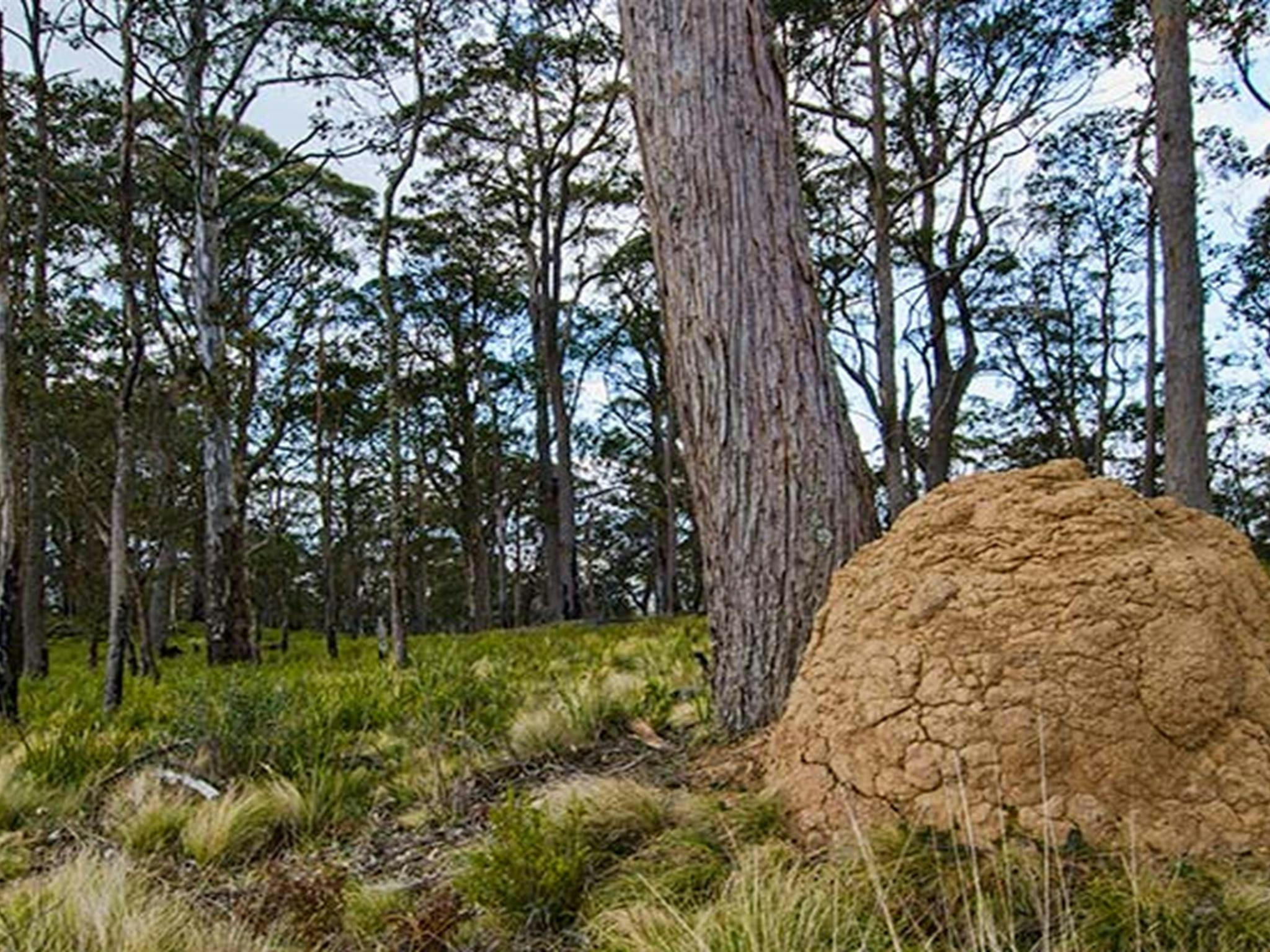 Mummel Gulf National Park. Photo: John Spencer/NSW Government