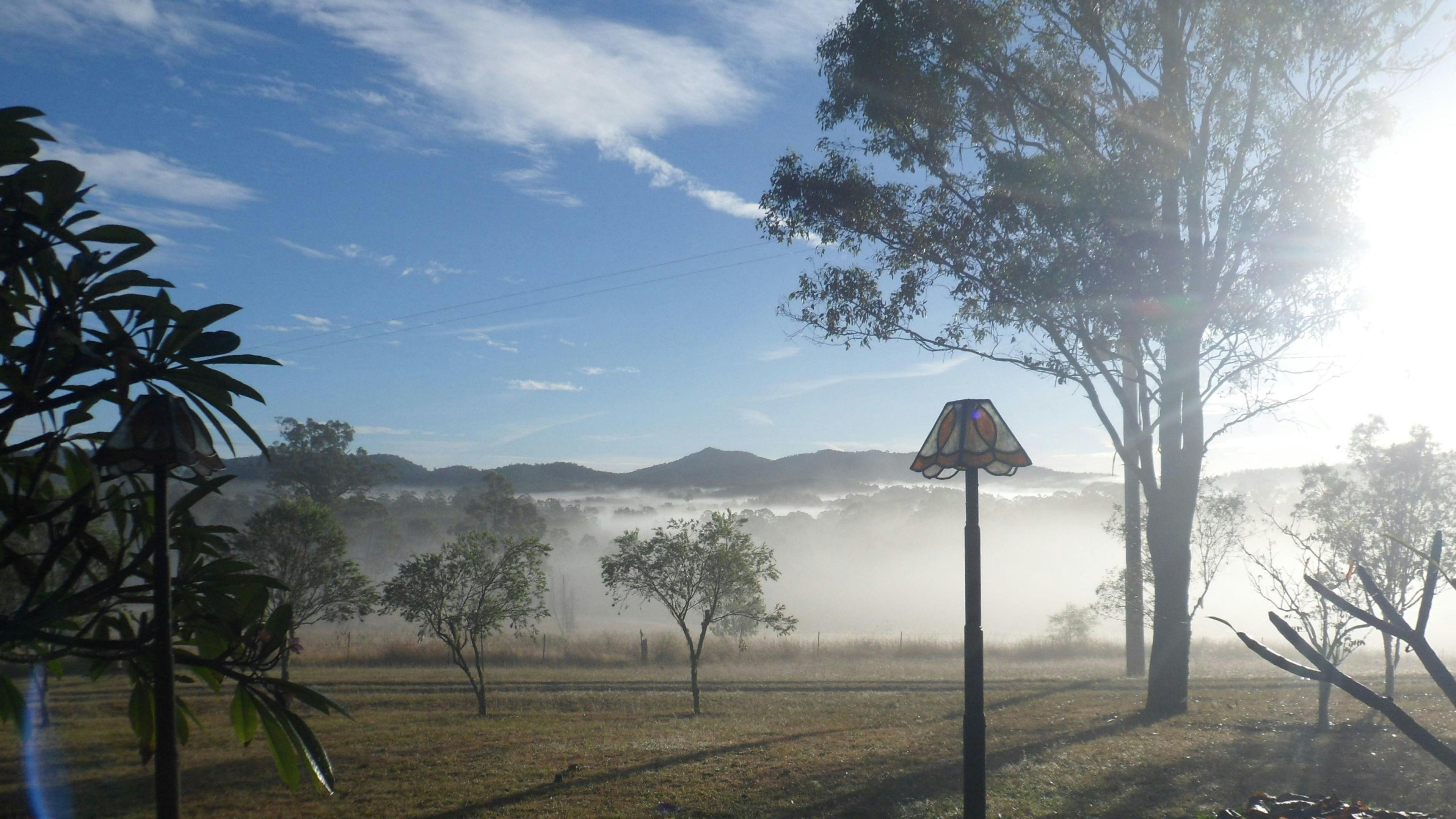 북쪽을 바라보는 안개 낀 아침