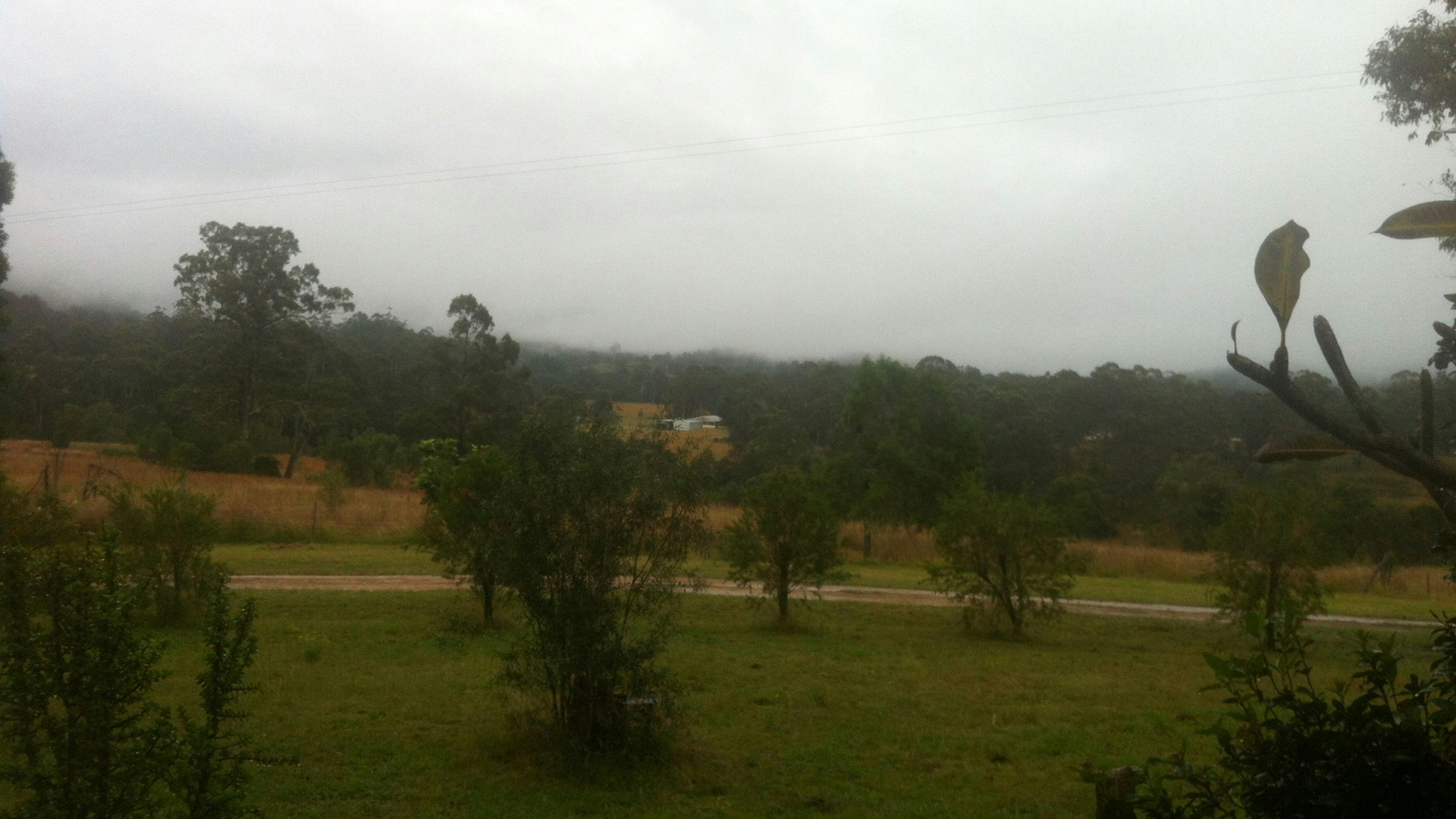 아름다운 산 전망