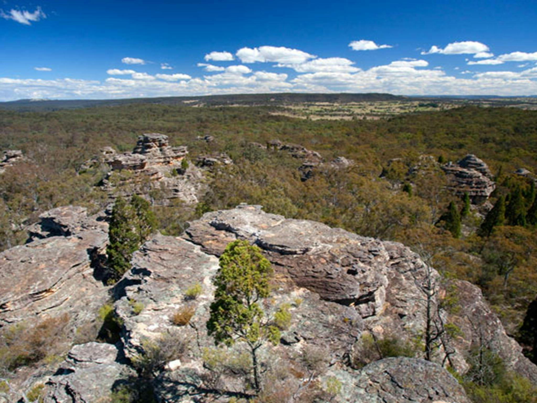 Castle Rocks walking track, Munghorn Nature Reserve. Photo: Nick Cubbin/NSW Government