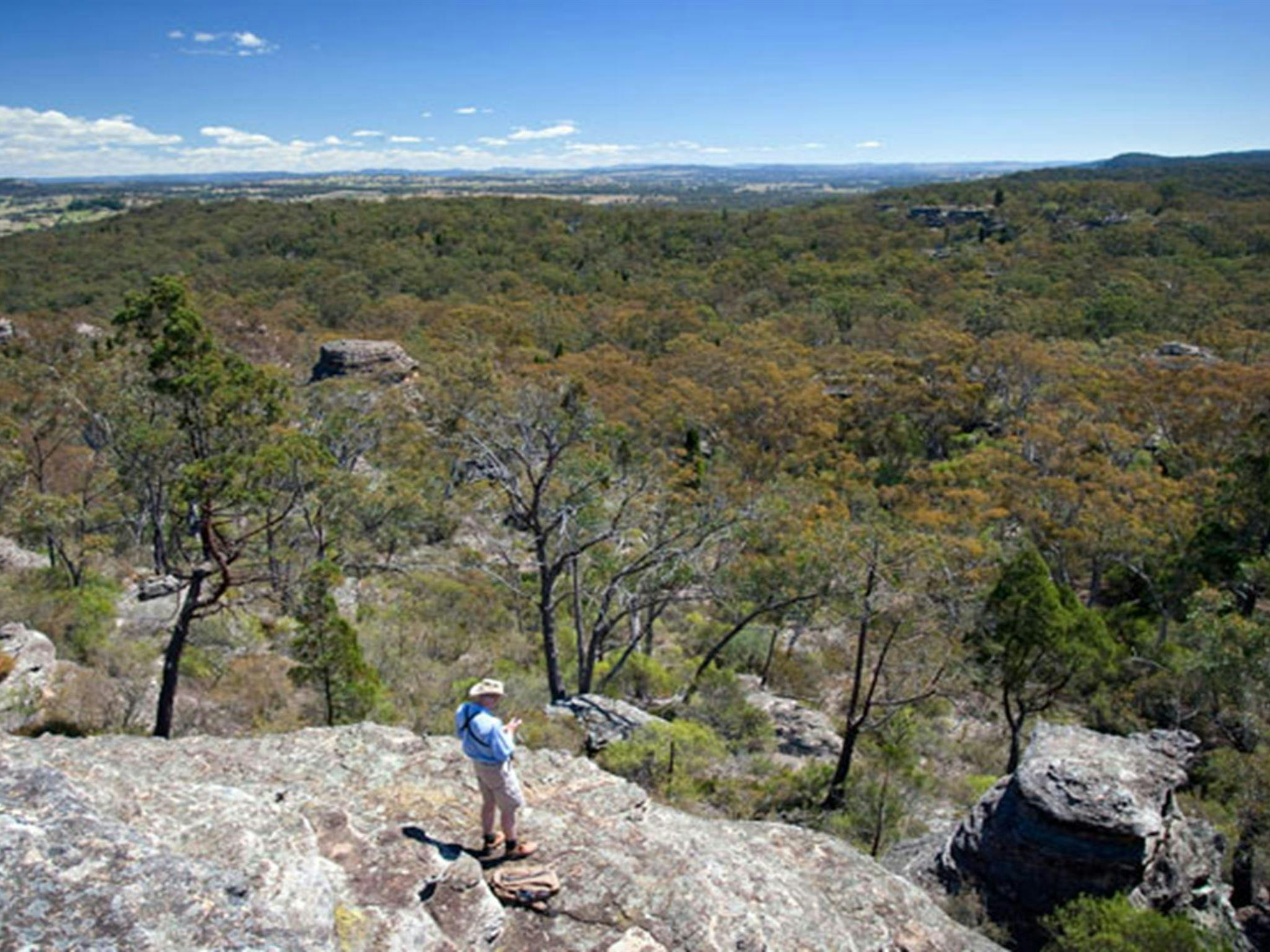Castle Rocks walking track, Munghorn Nature Reserve. Photo: Nick Cubbin/NSW Government
