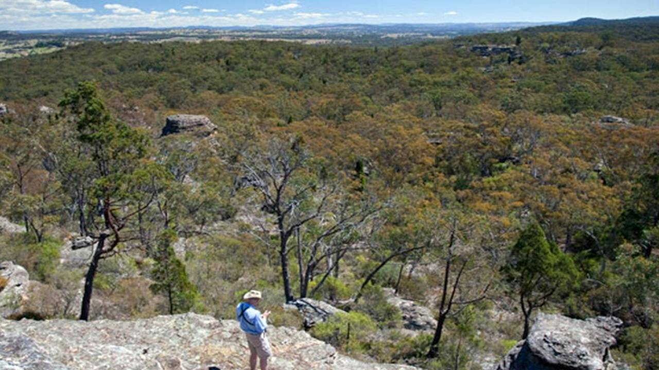 Munghorn Gap Nature Reserve