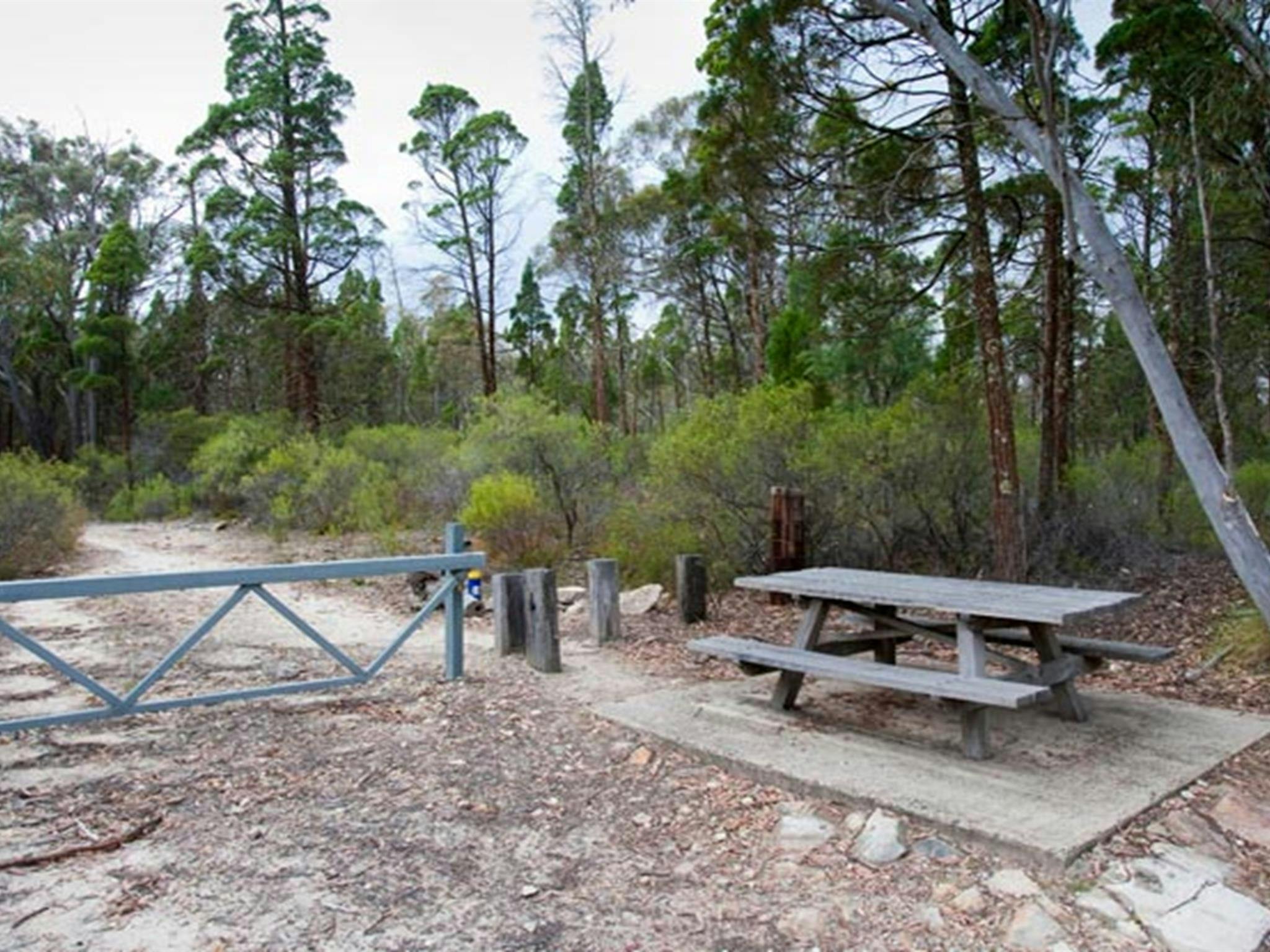 Castle Rocks walking track, Munghorn Nature Reserve. Photo: Nick Cubbin/NSW Government