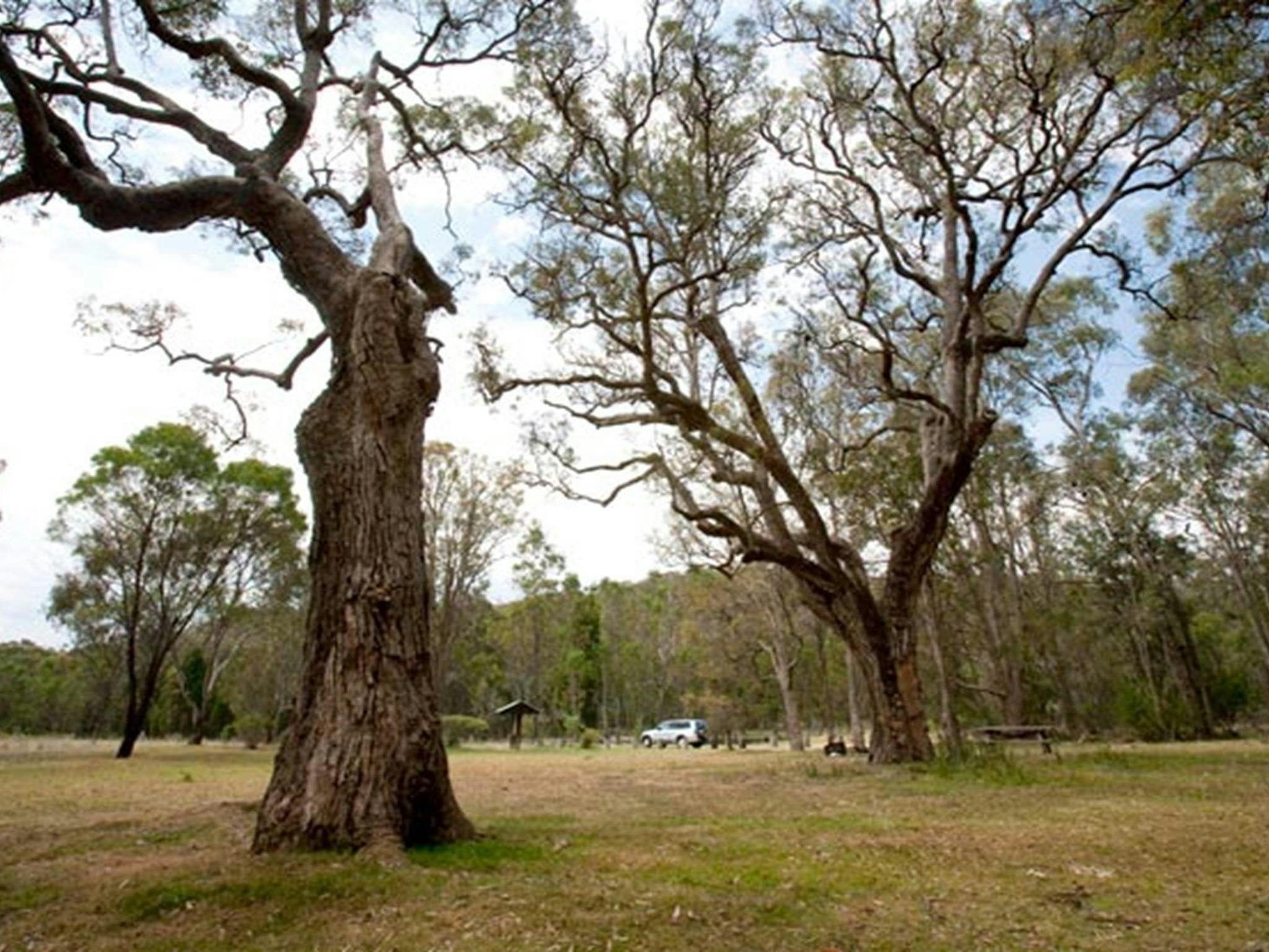 Moolarben picnic area, Munghorn Nature Reserve. Photo: Nick Cubbin/NSW Government