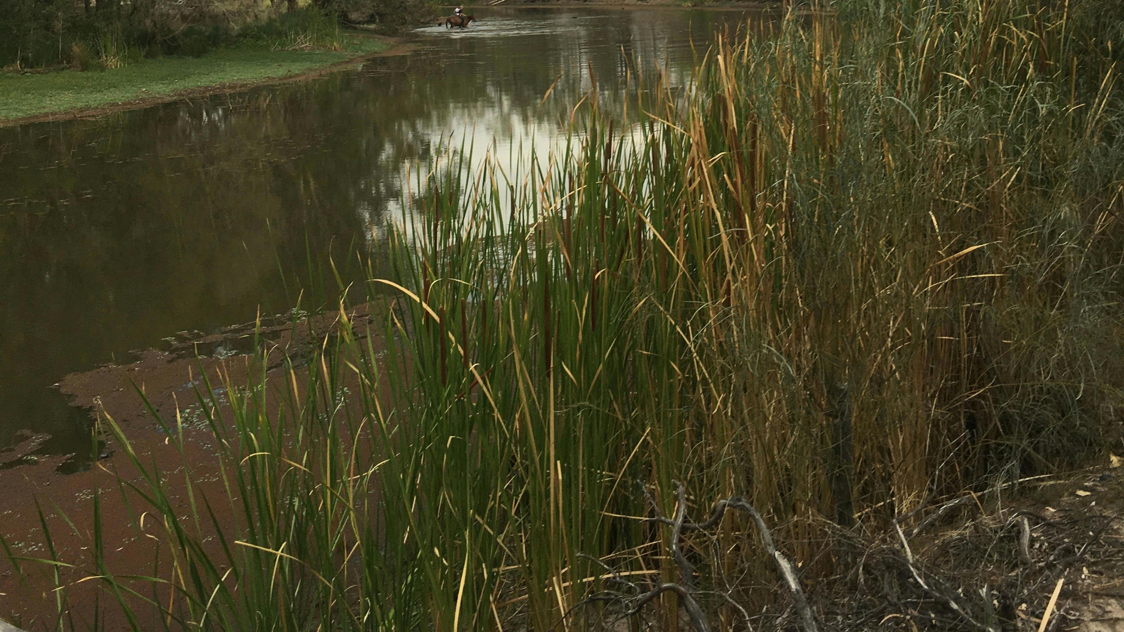 Barwon River, Mungindi
